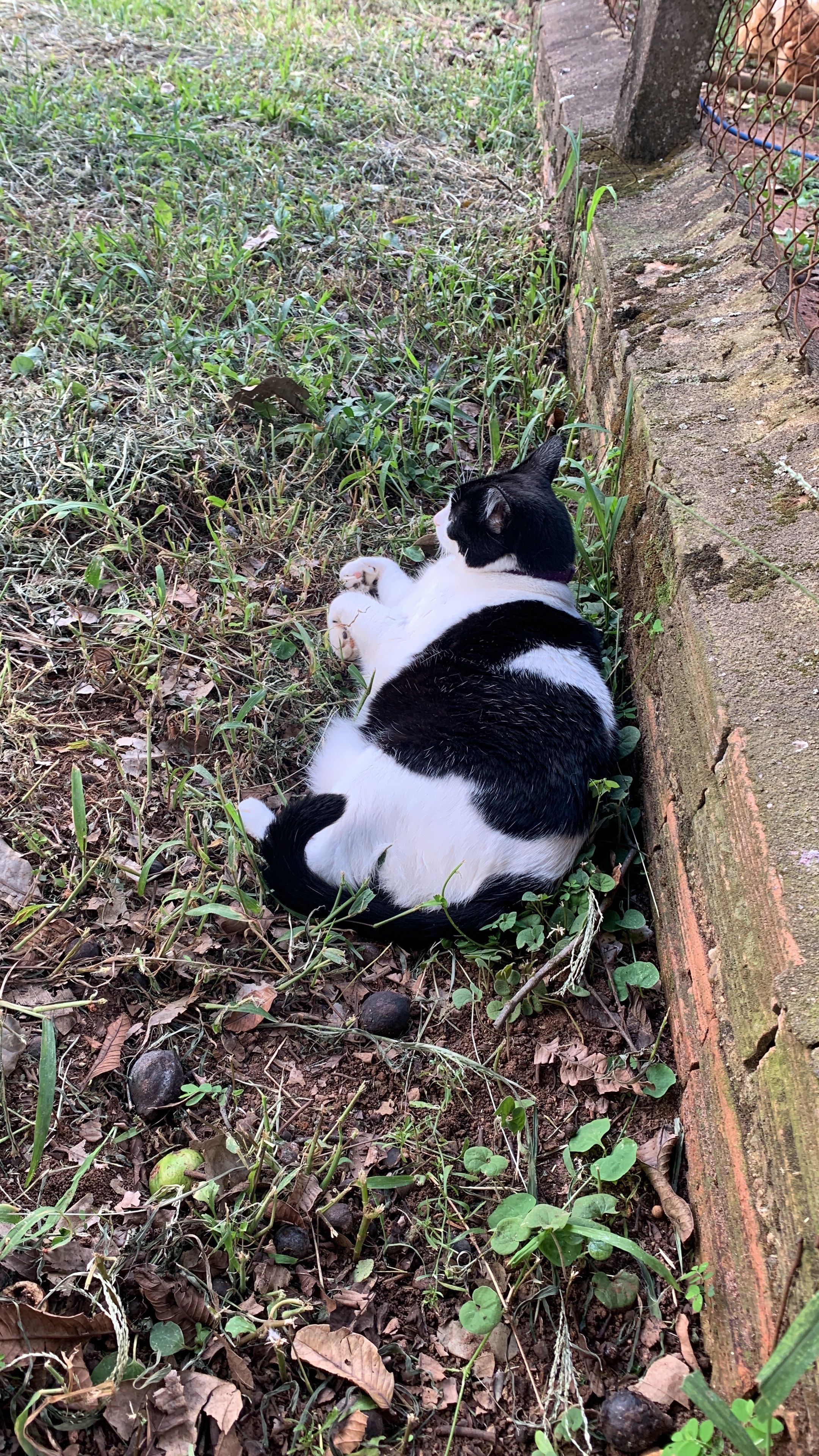 image-11