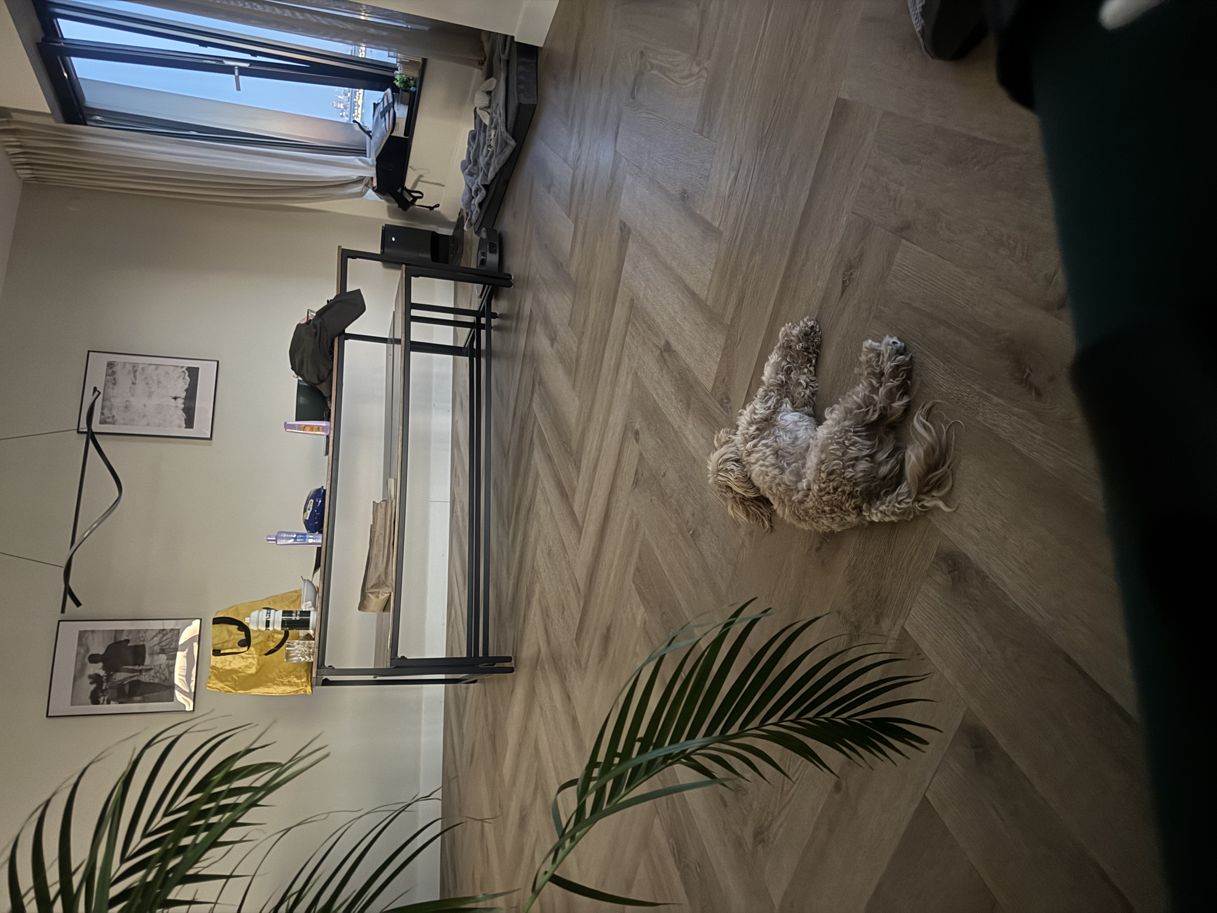 image-12
