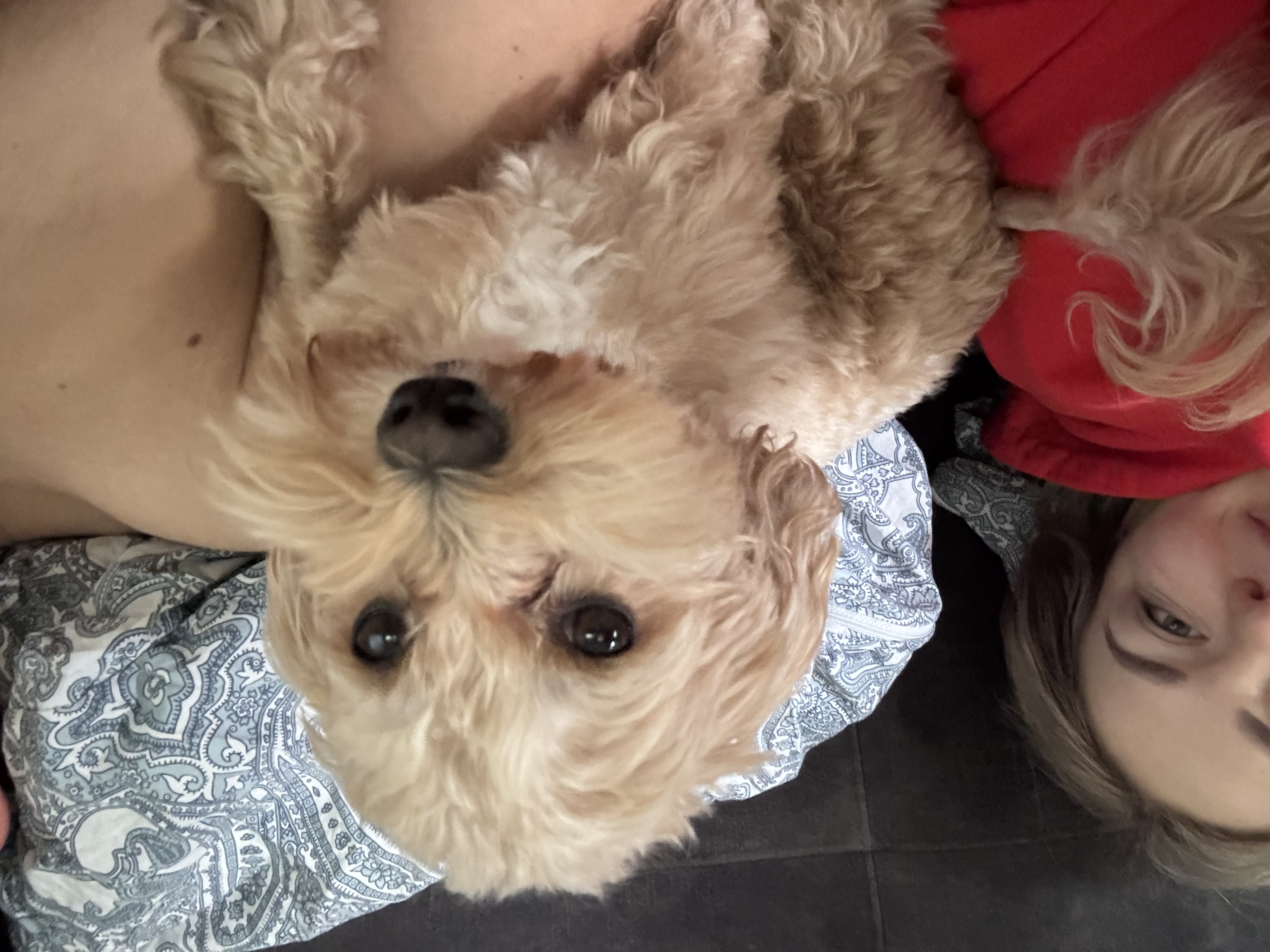 image-6