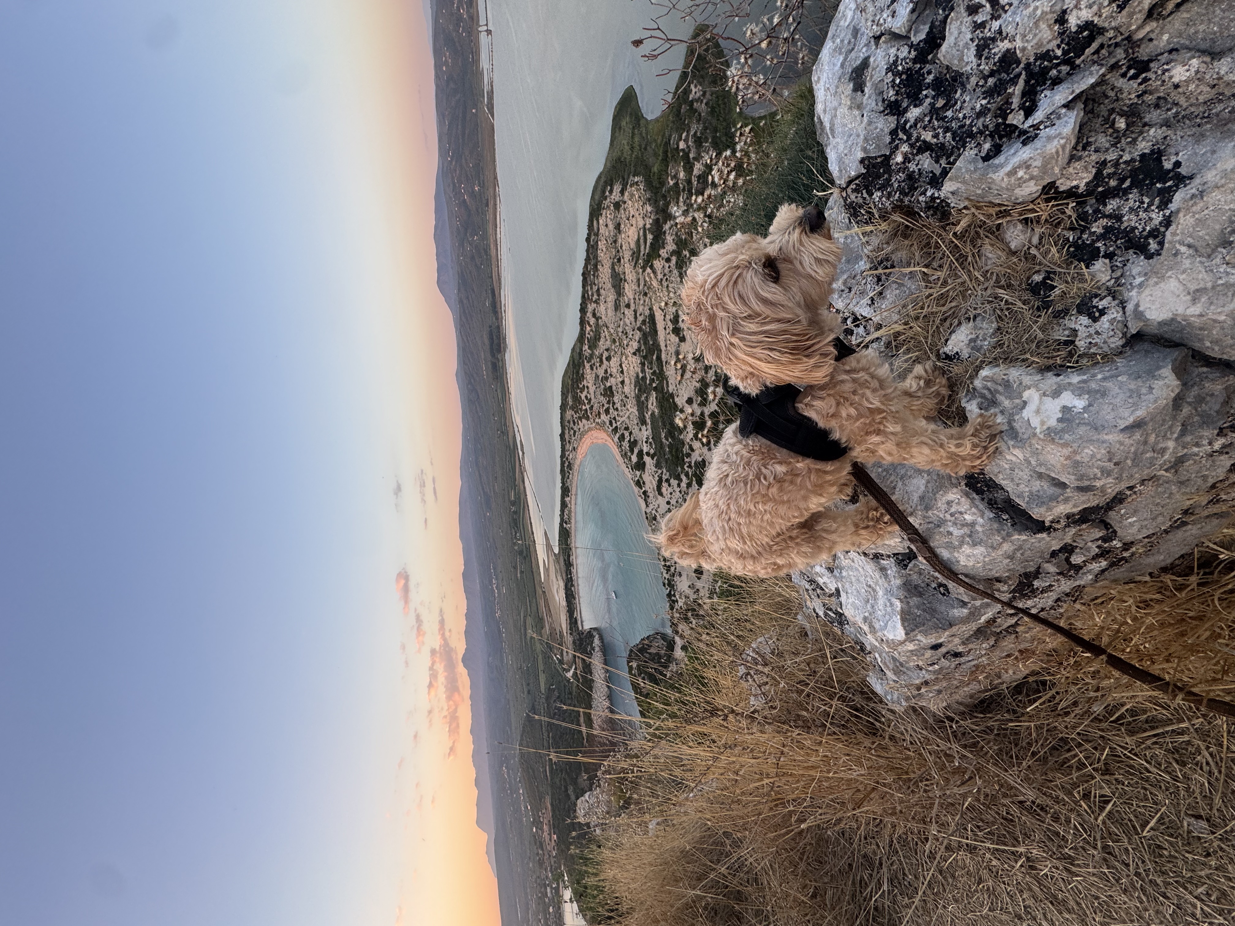 image-16
