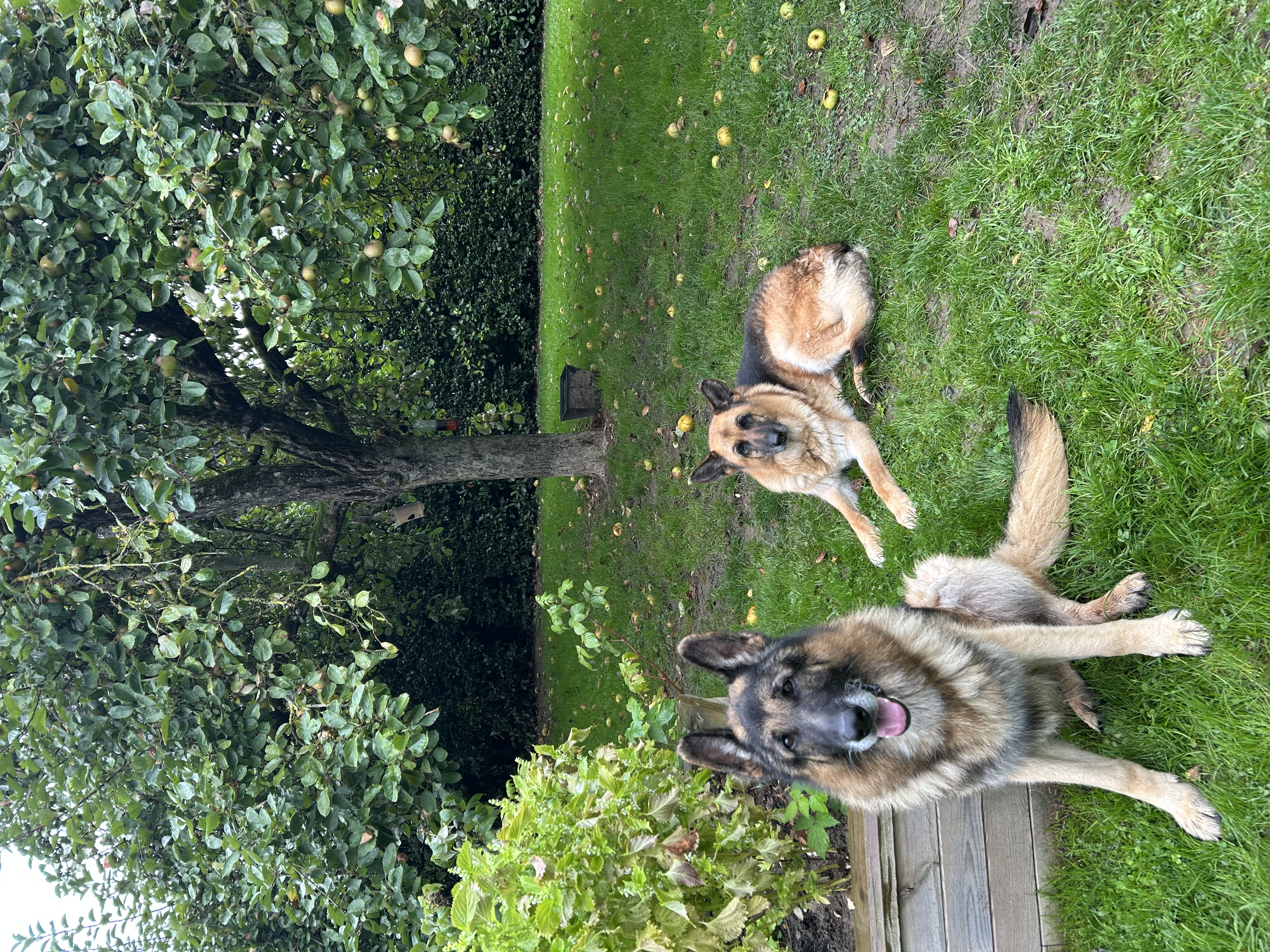image-9