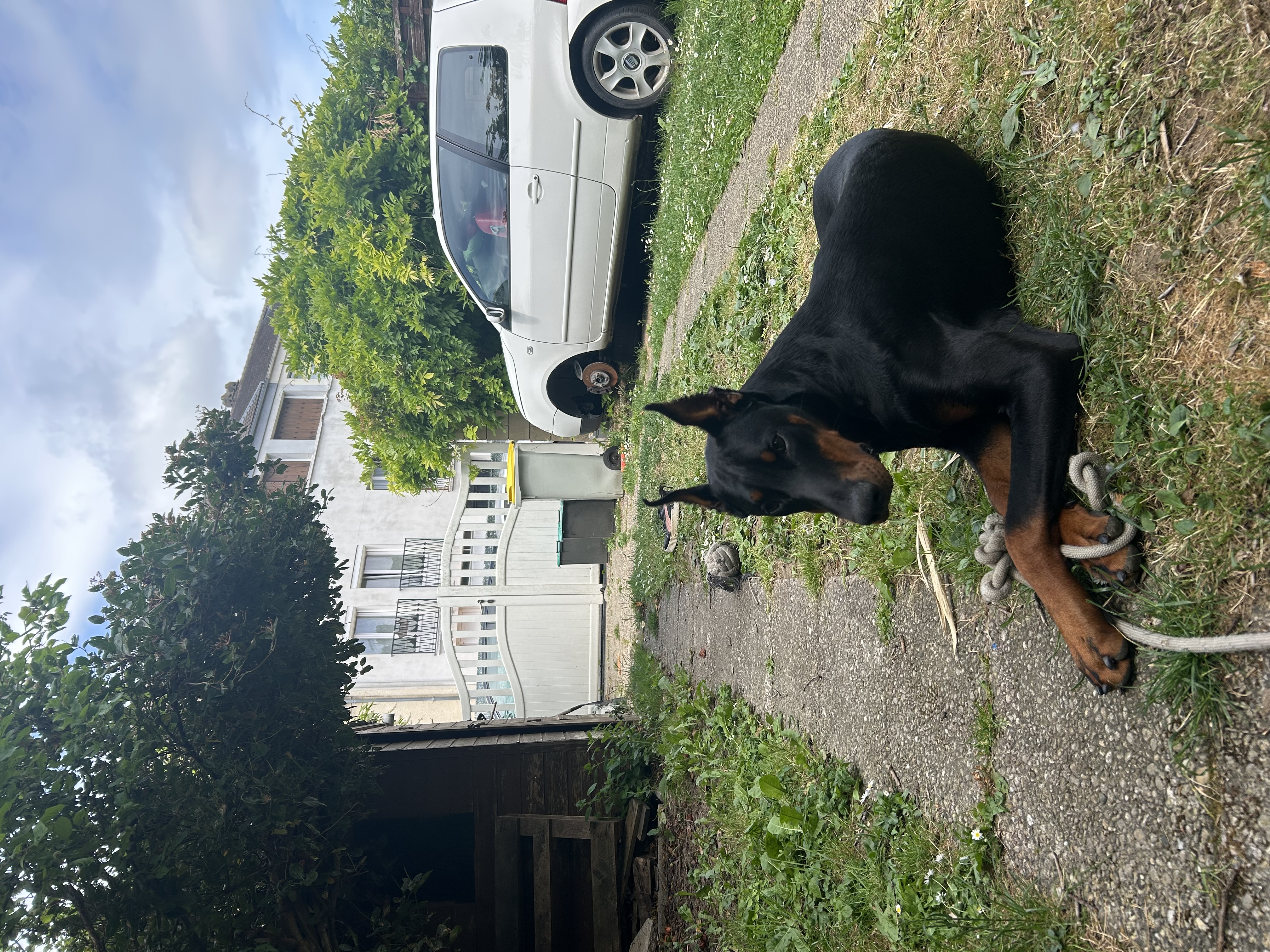 image-12