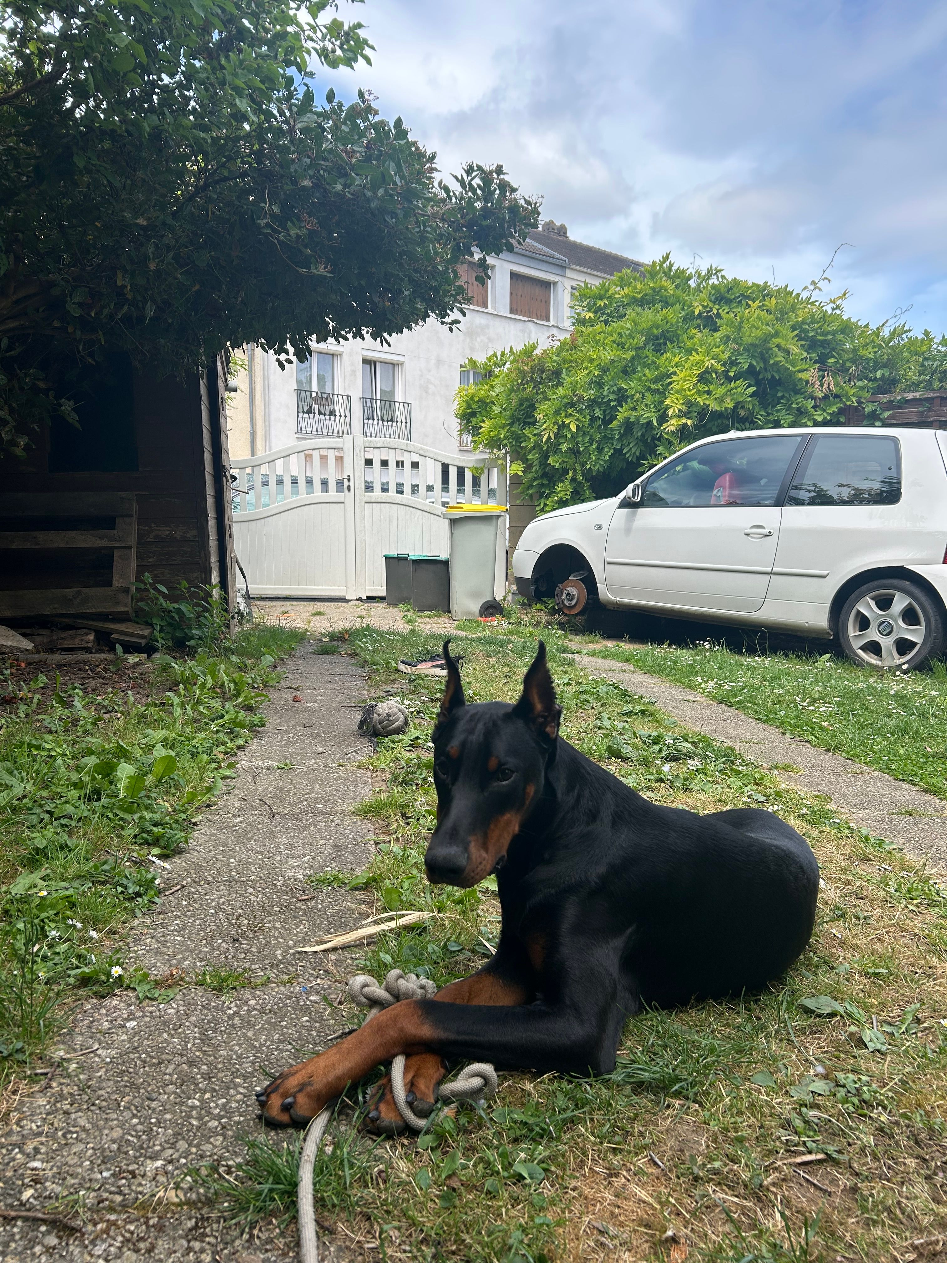 image-12