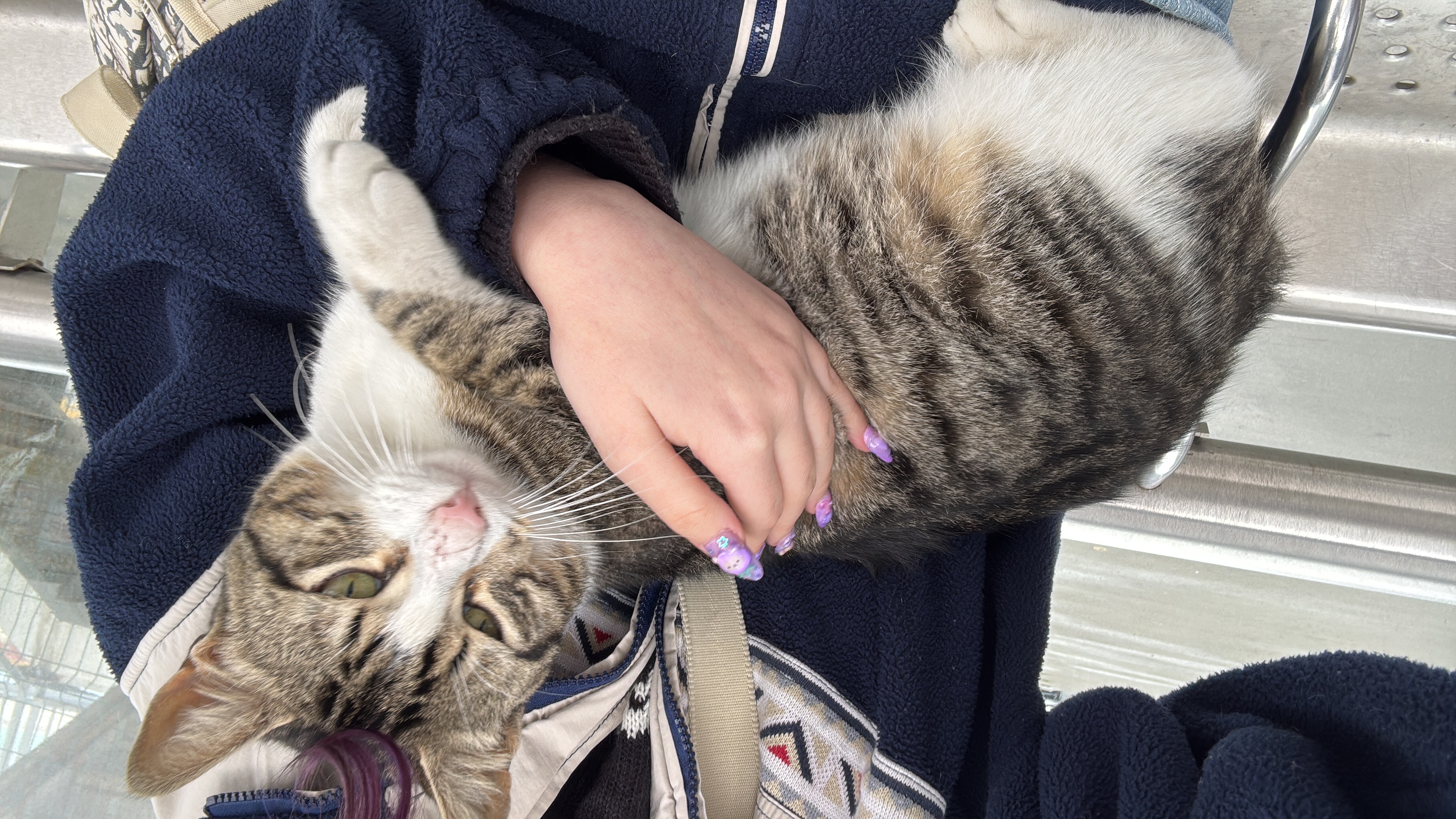image-3