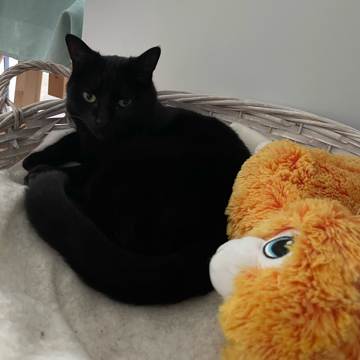 coco