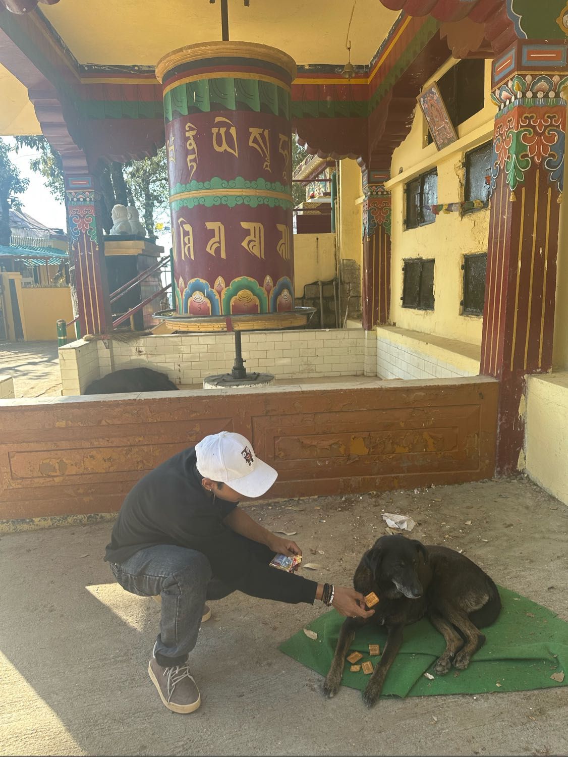 image-10