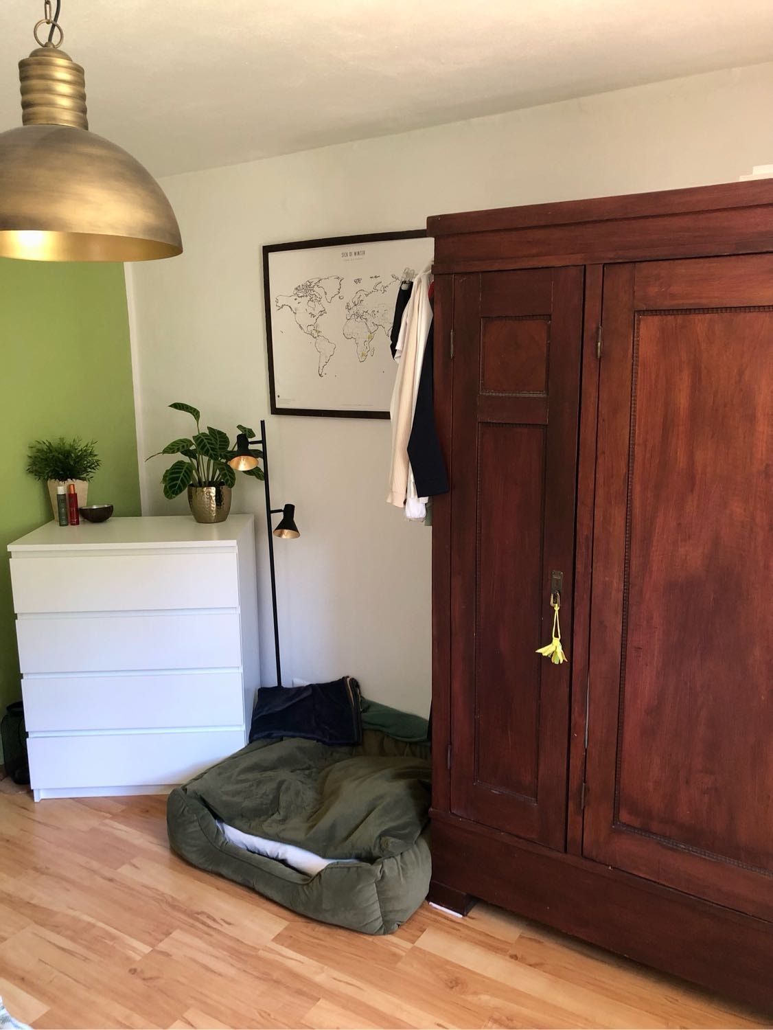 image-8