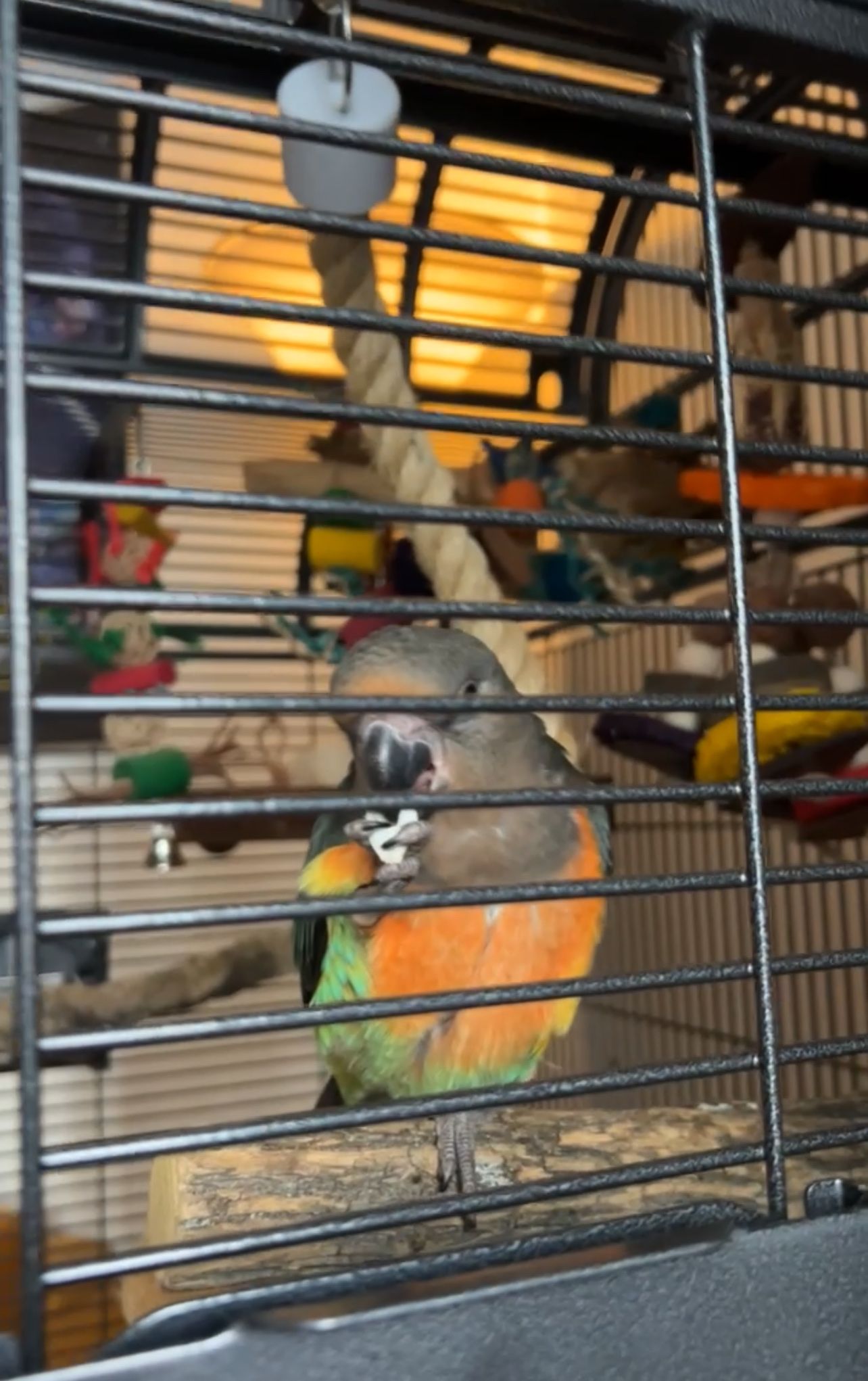 image-9
