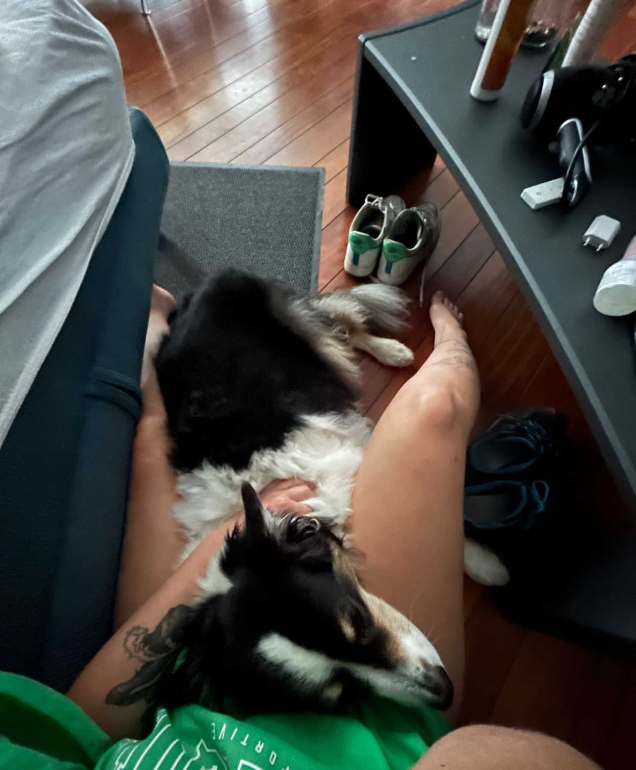 image-8