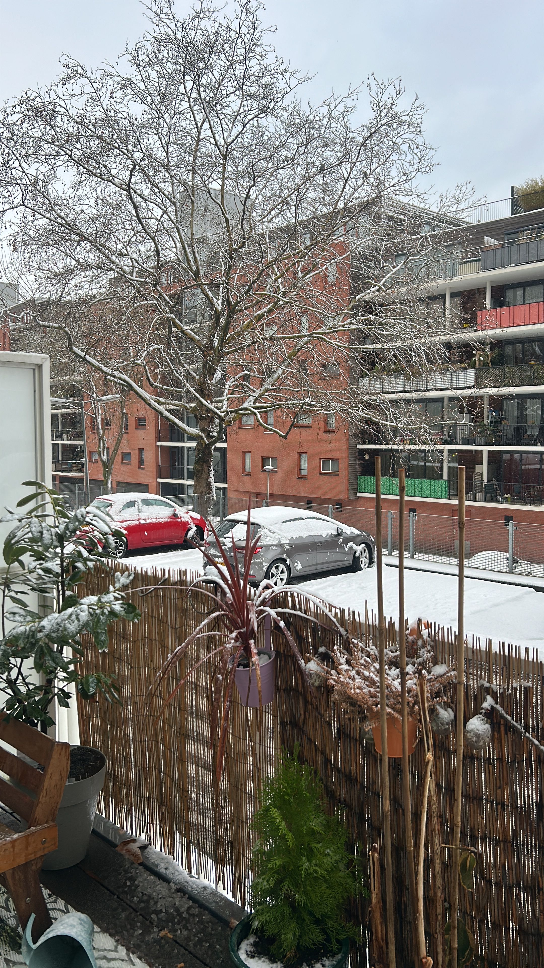 image-15
