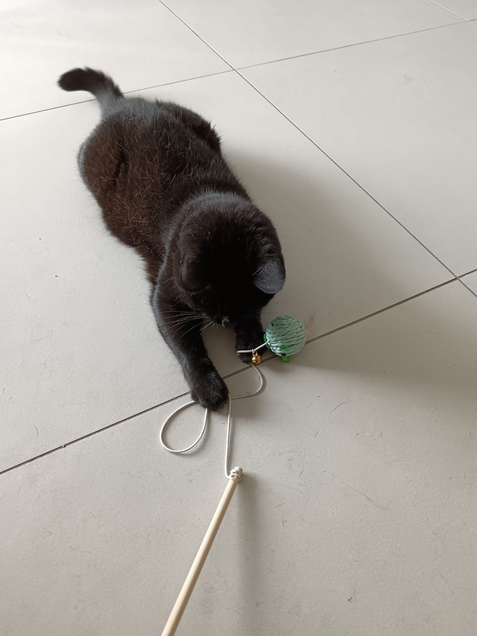 image-6