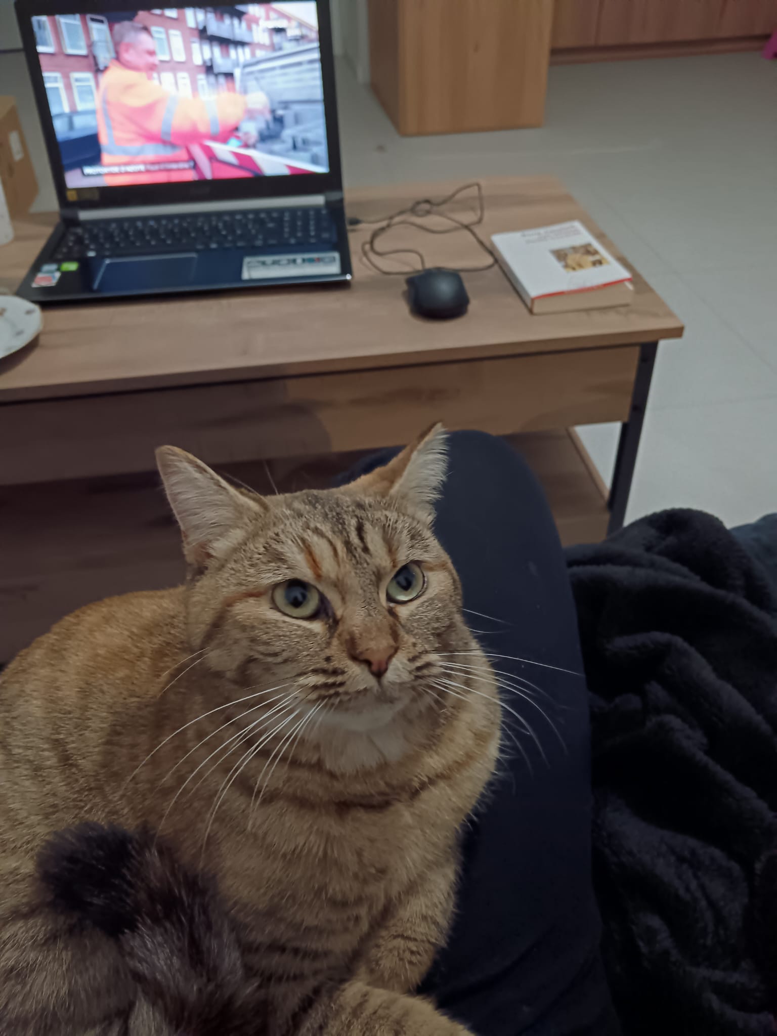 image-9