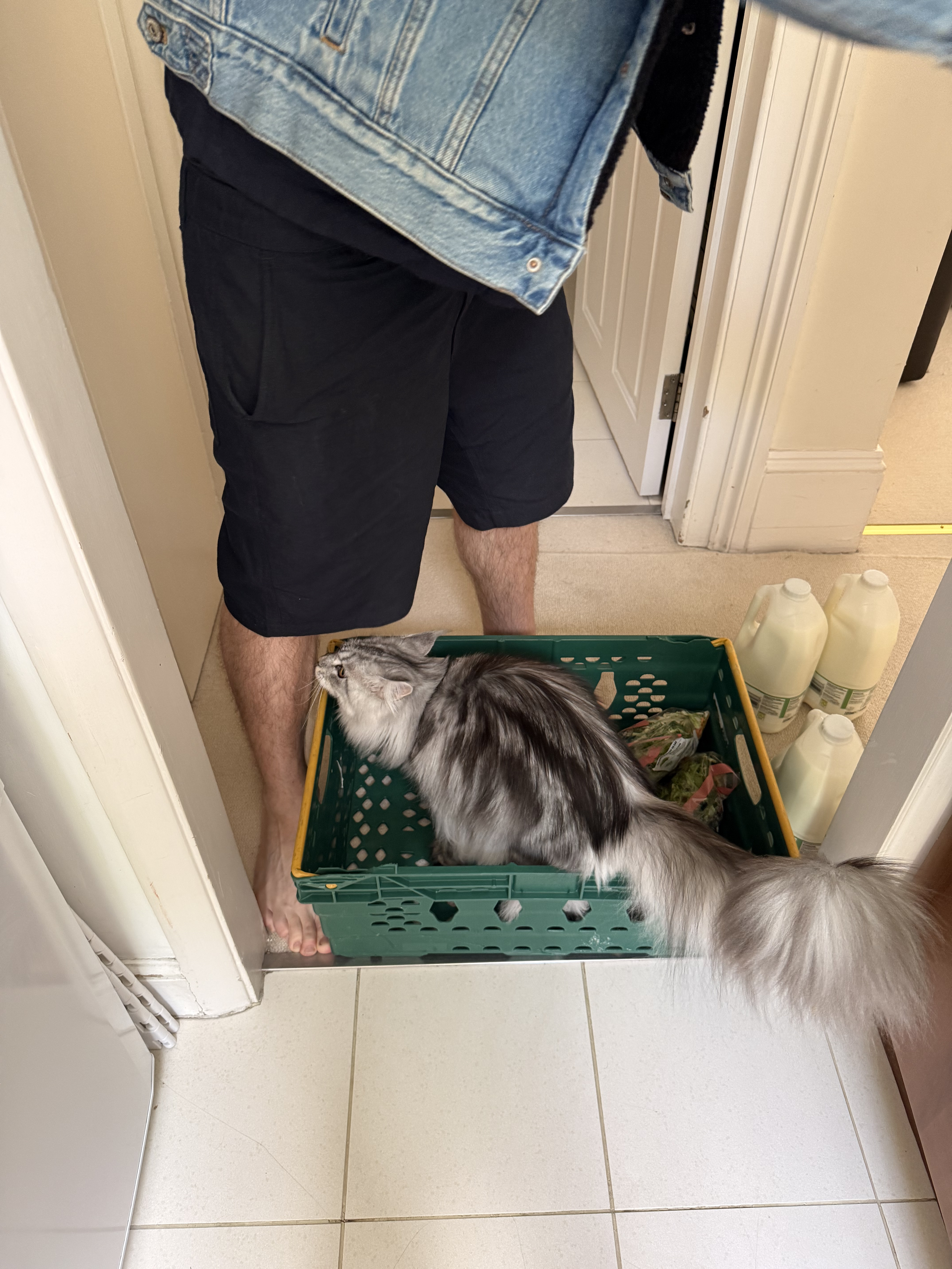 image-11