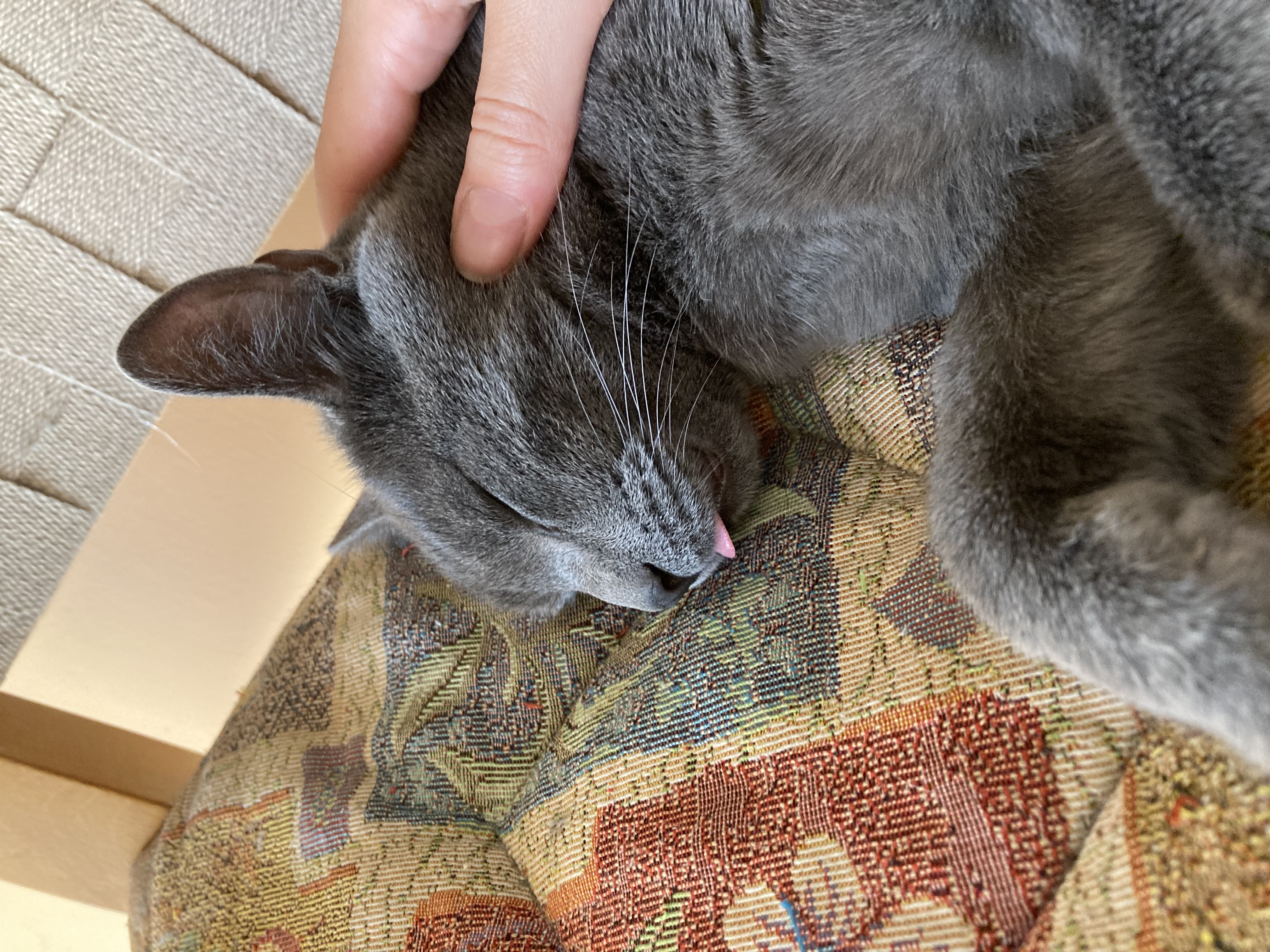 image-9