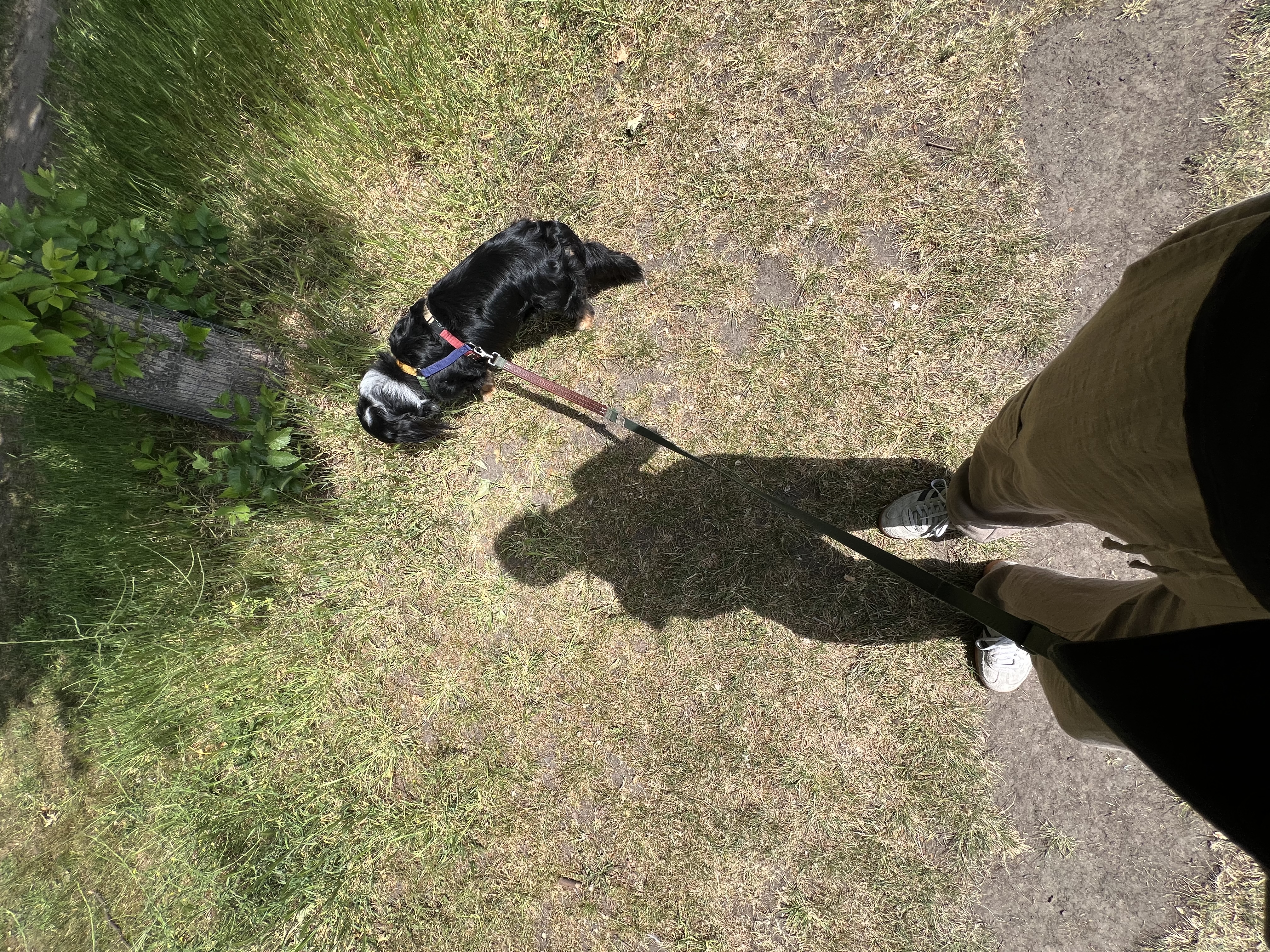 image-8