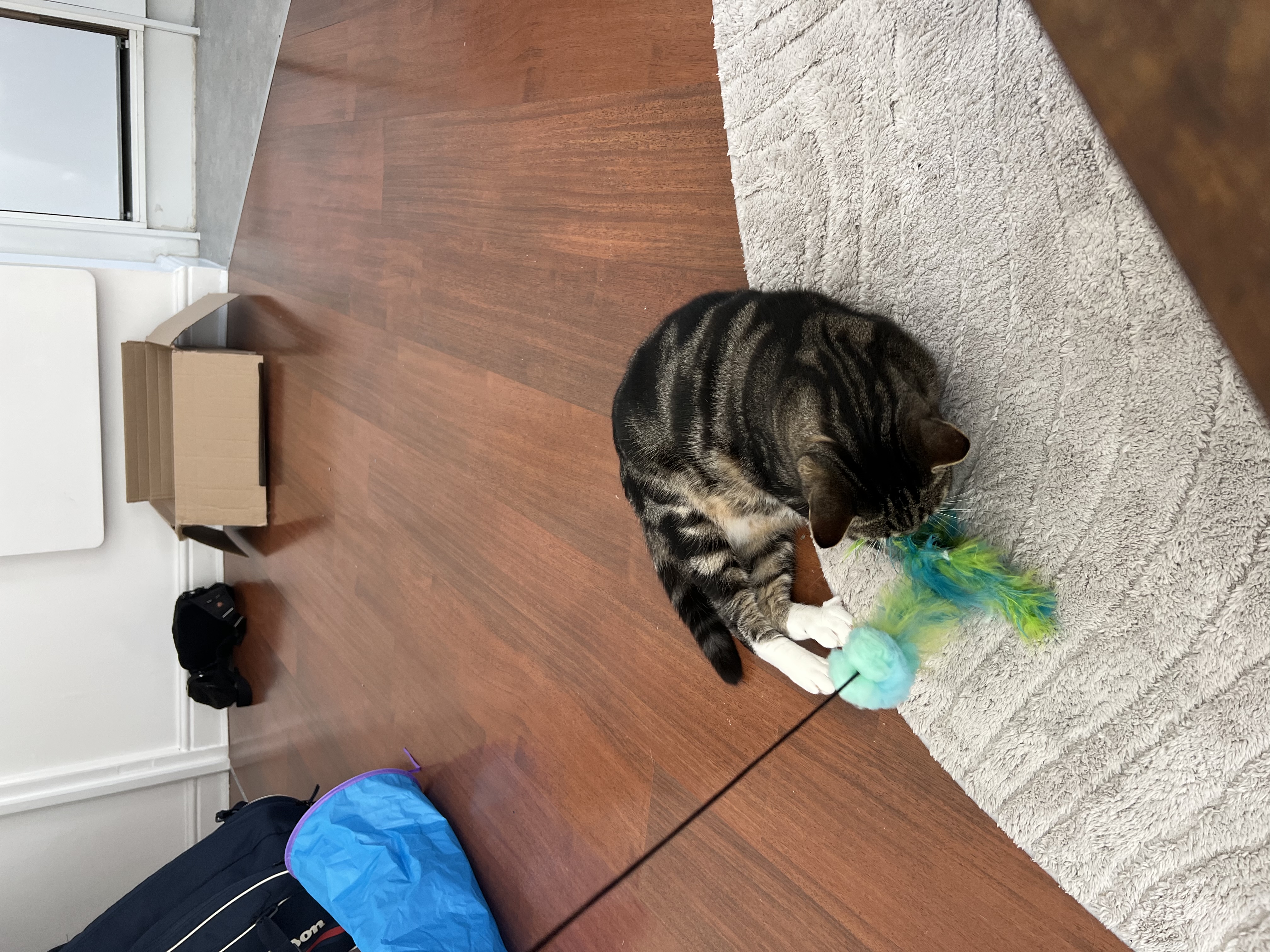image-6