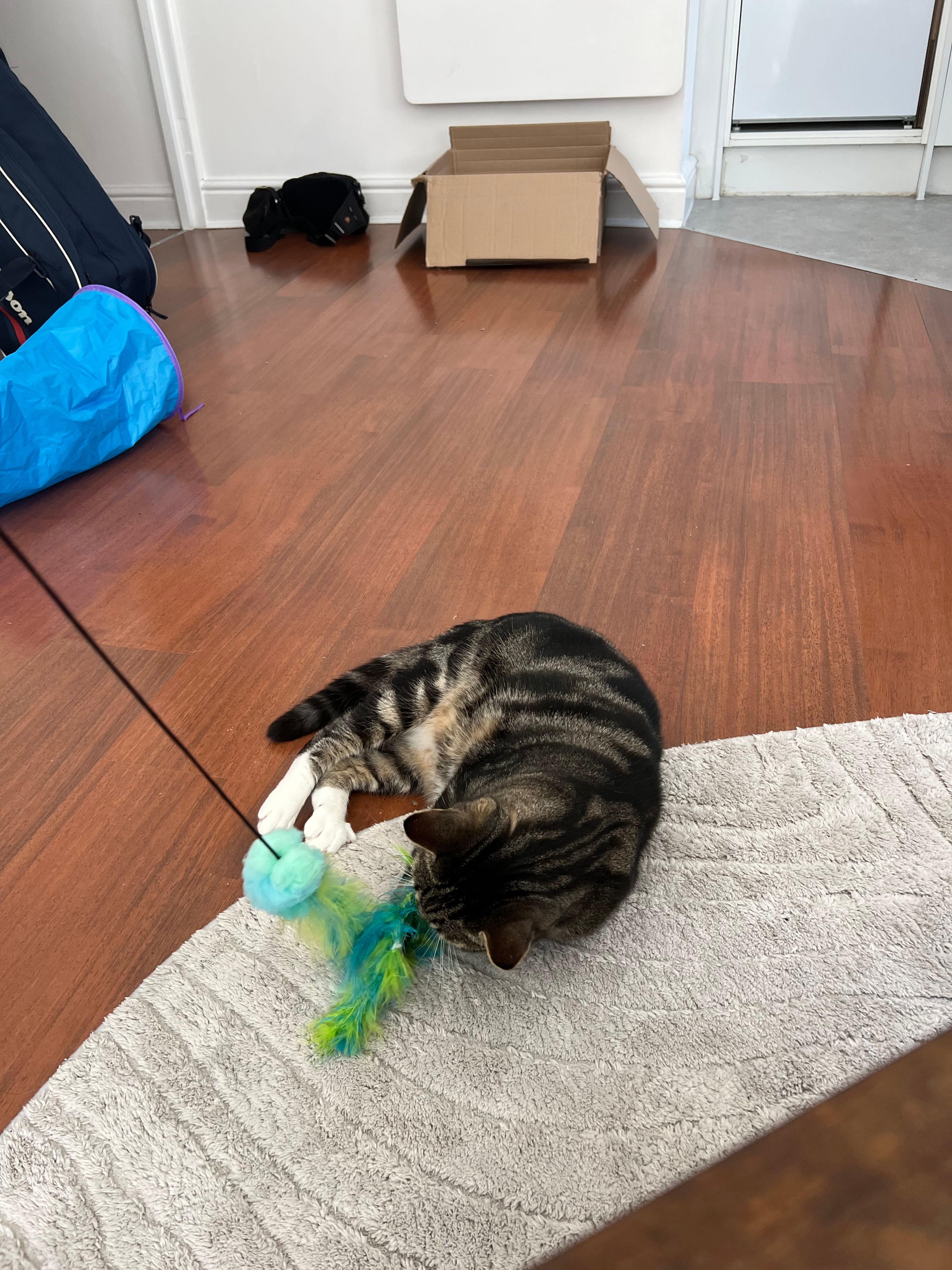image-6
