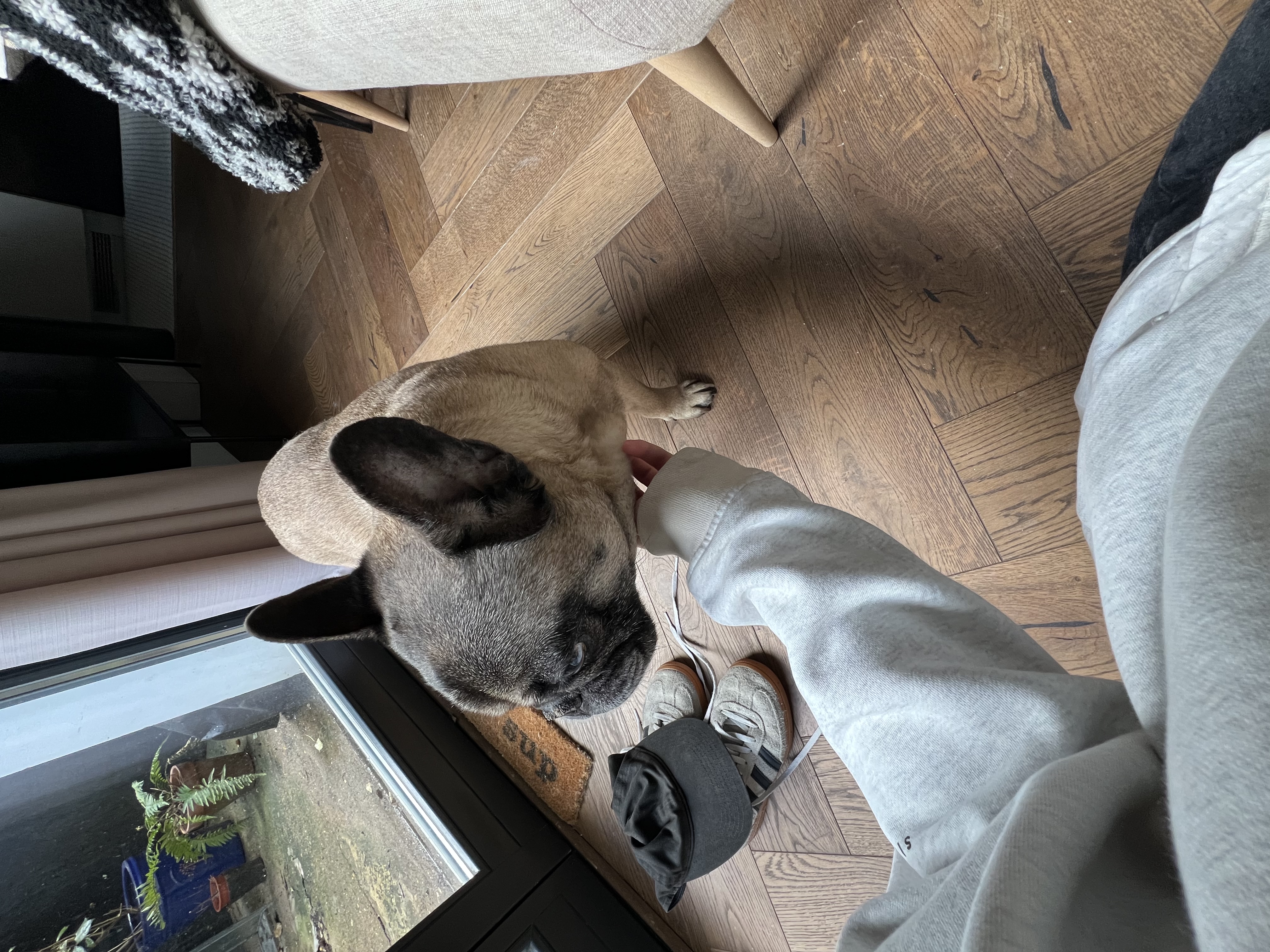 image-7
