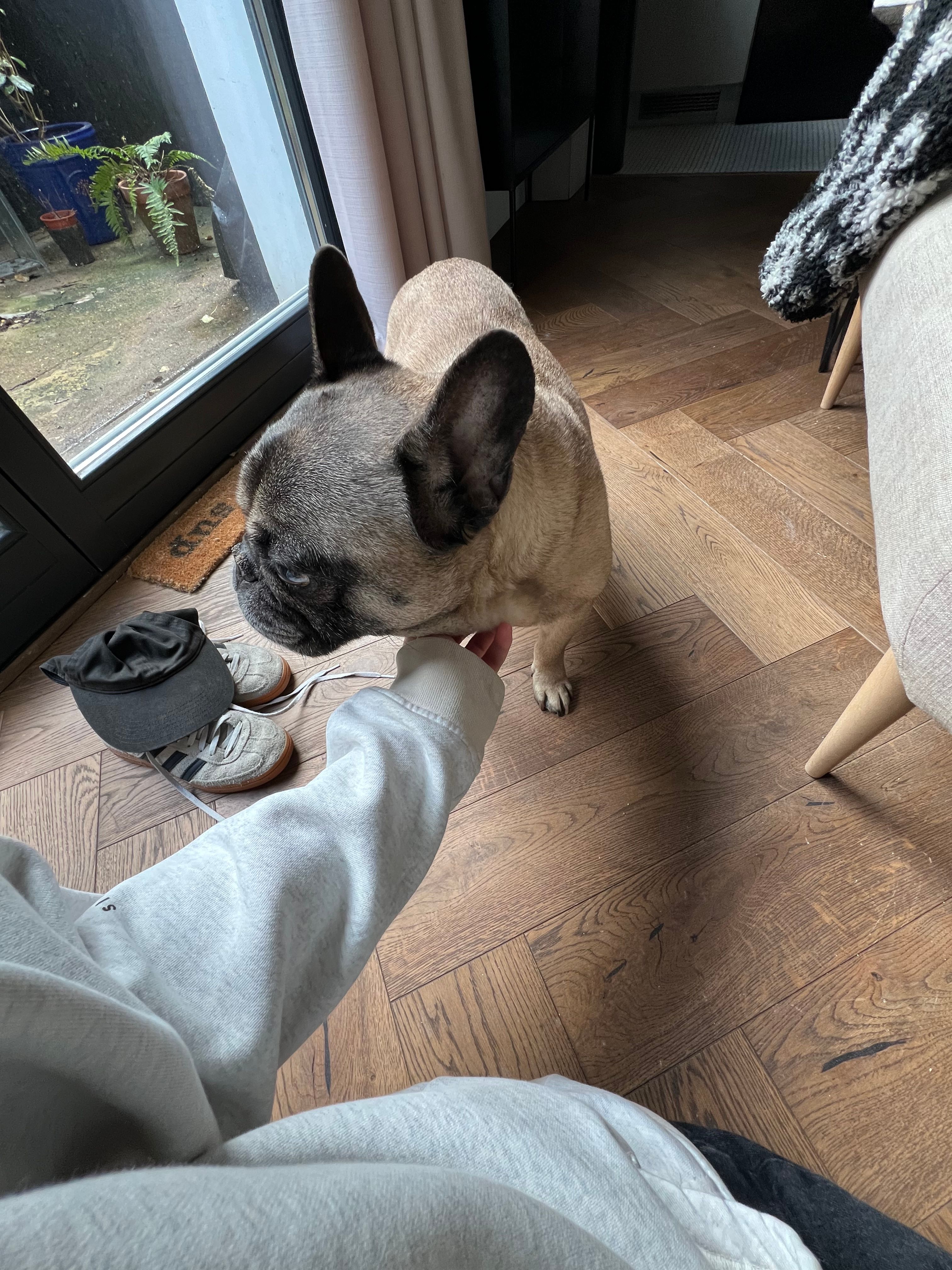 image-7