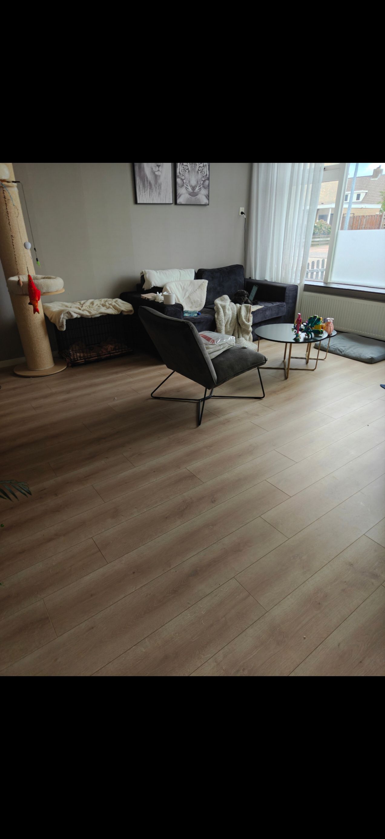 image-19