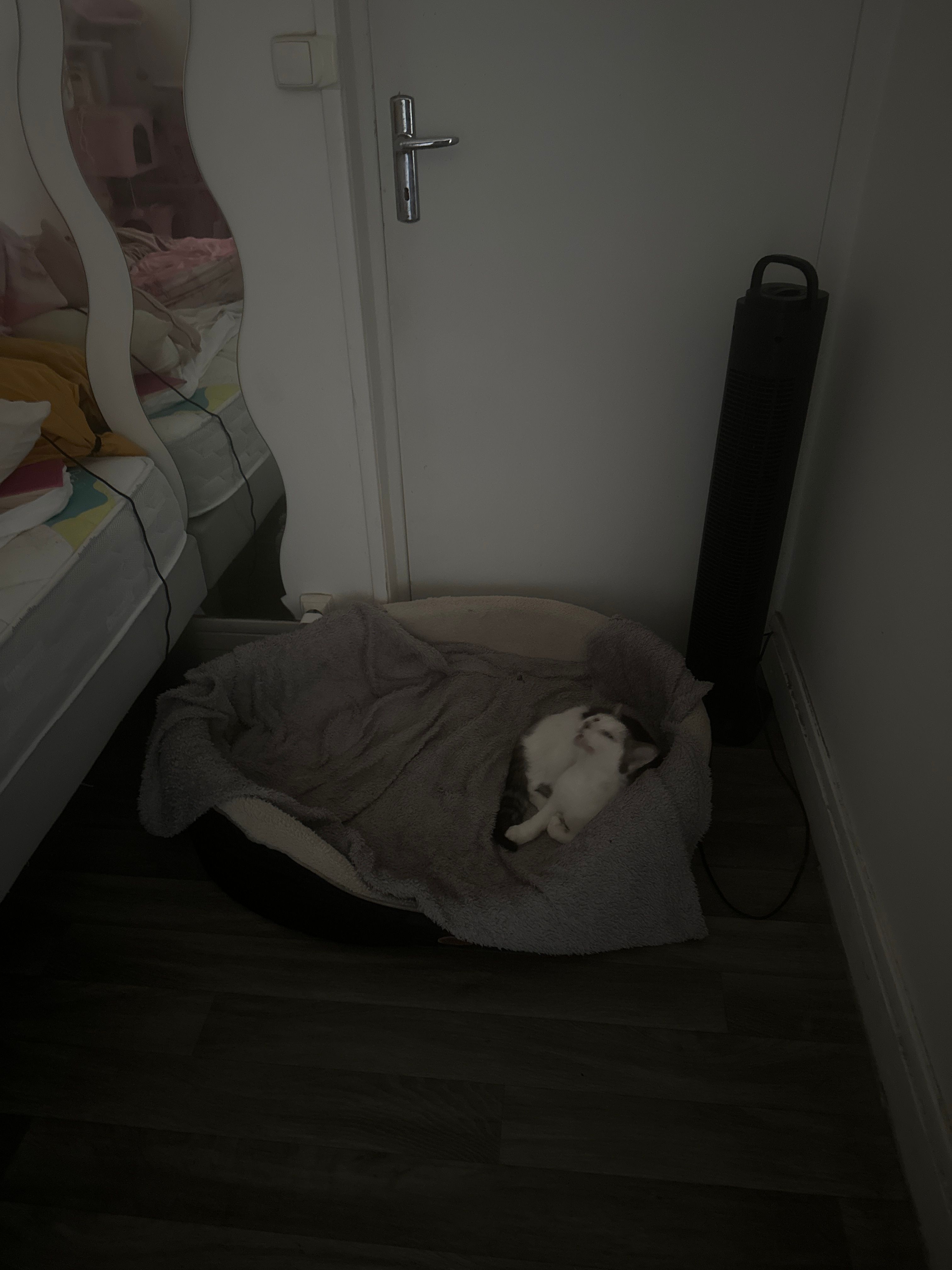 image-18