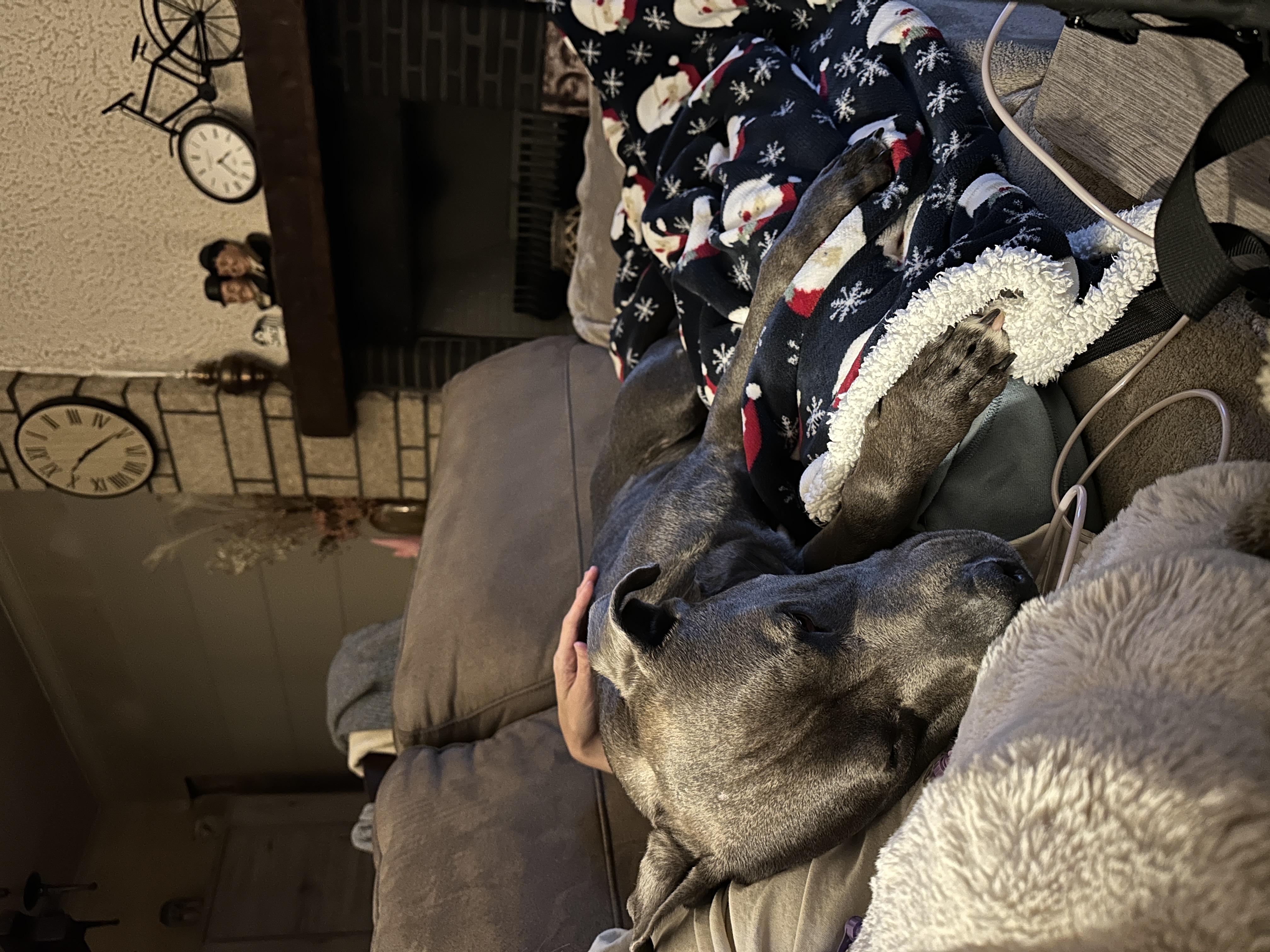 image-8