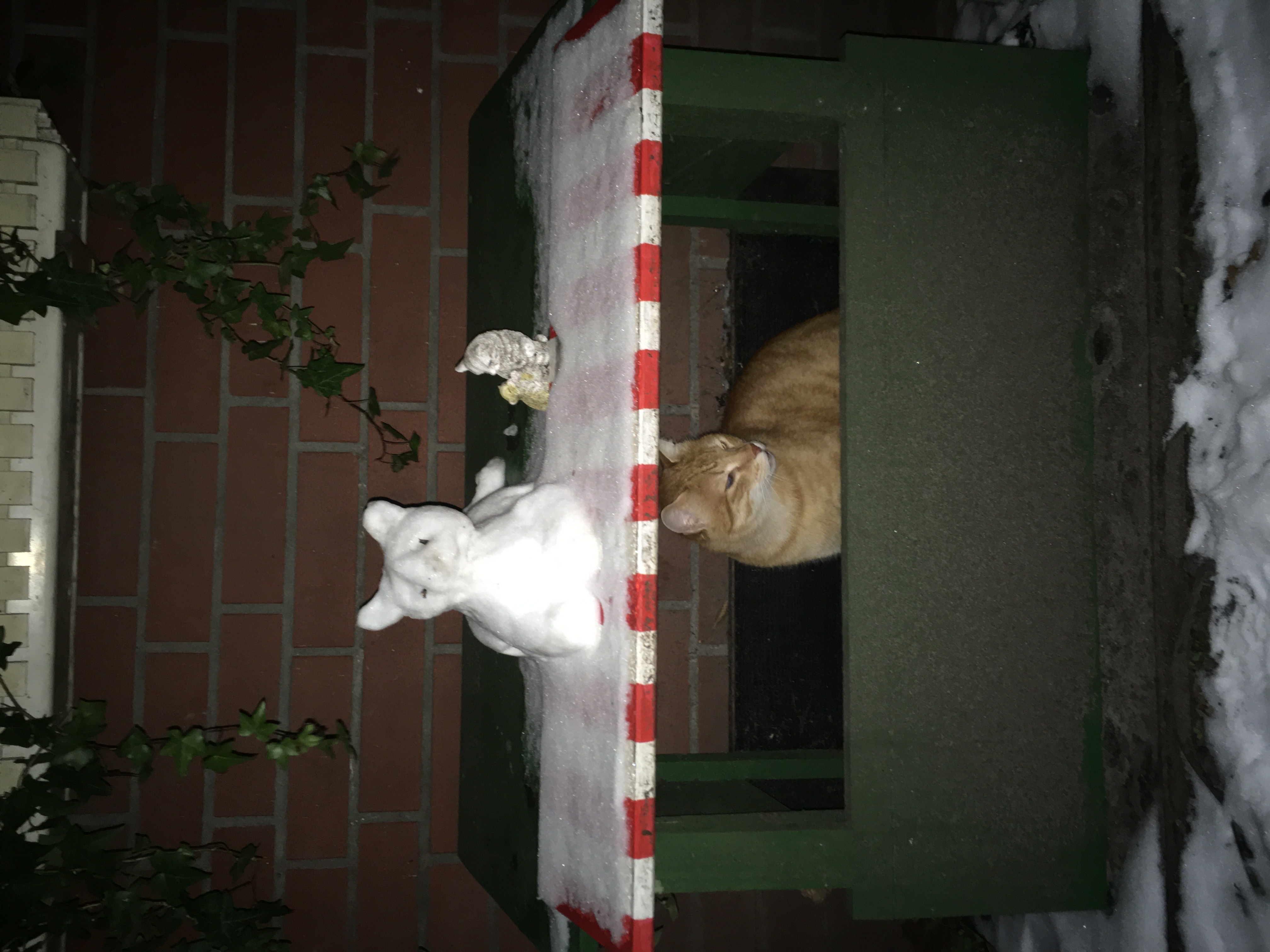 image-17