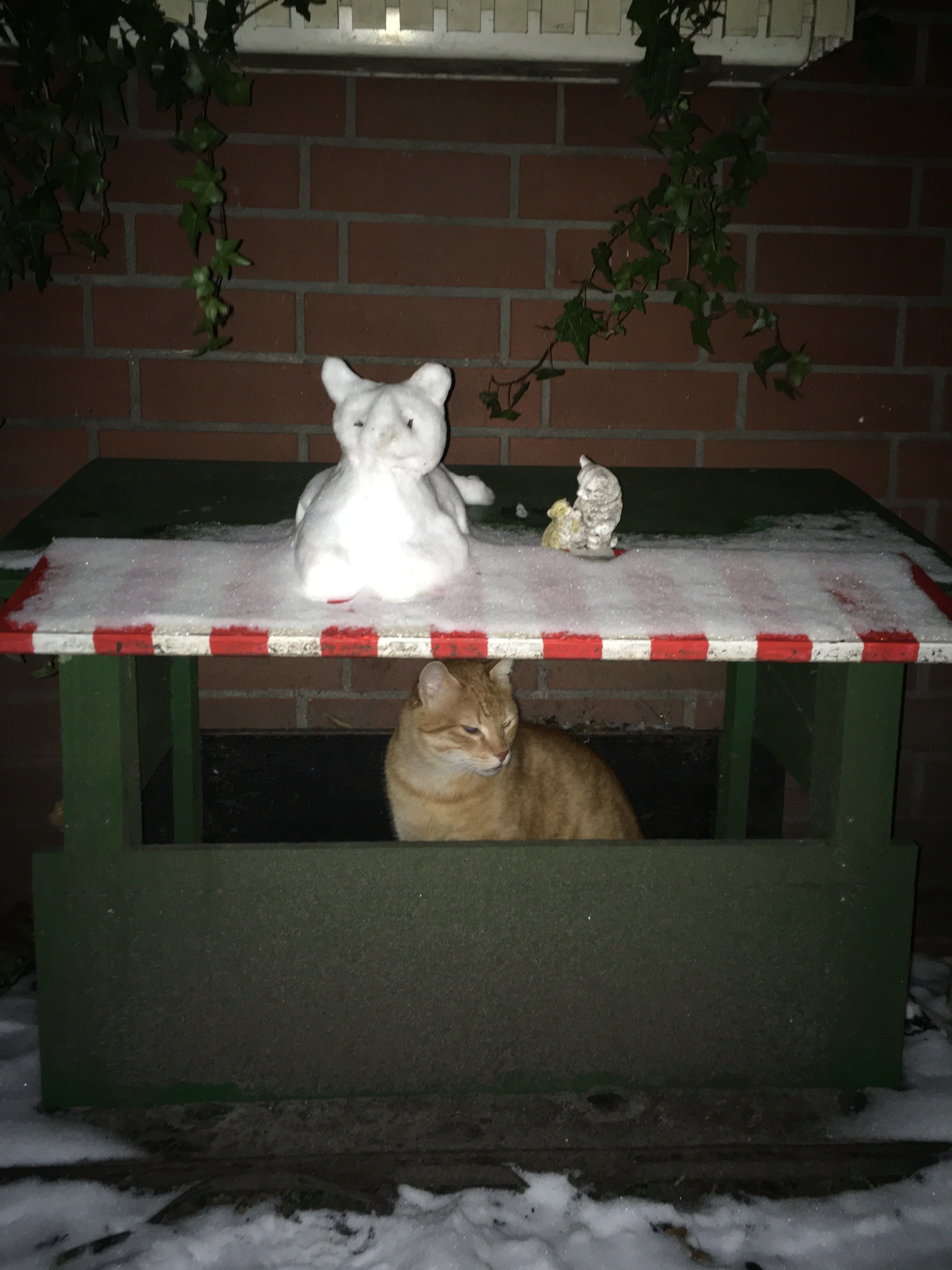 image-17