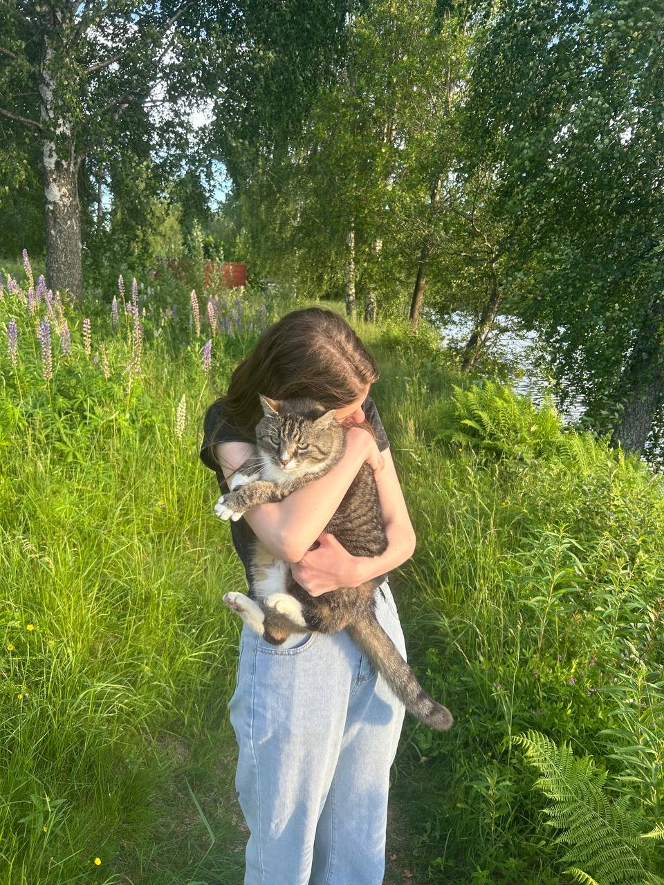 image-9