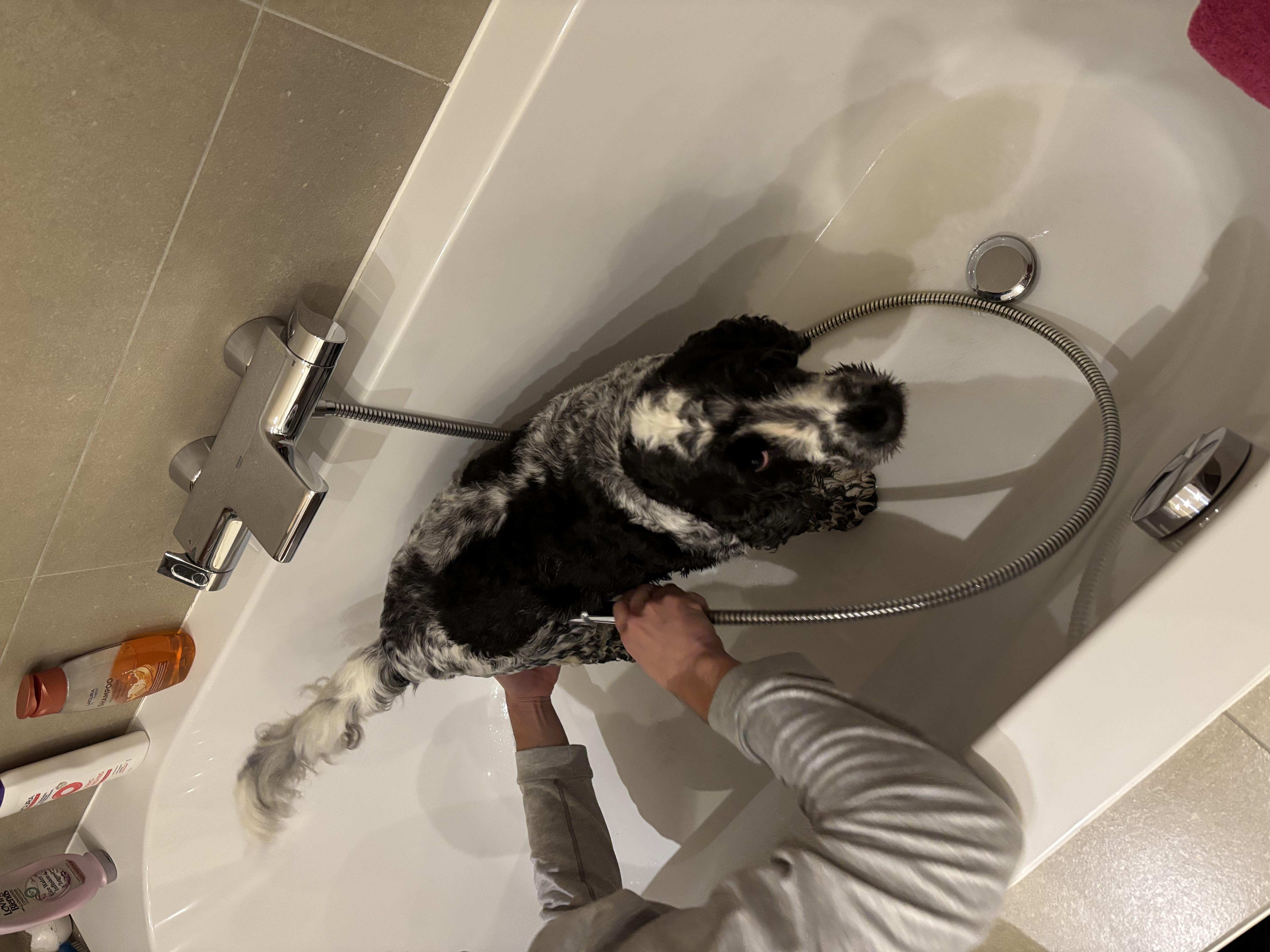image-6