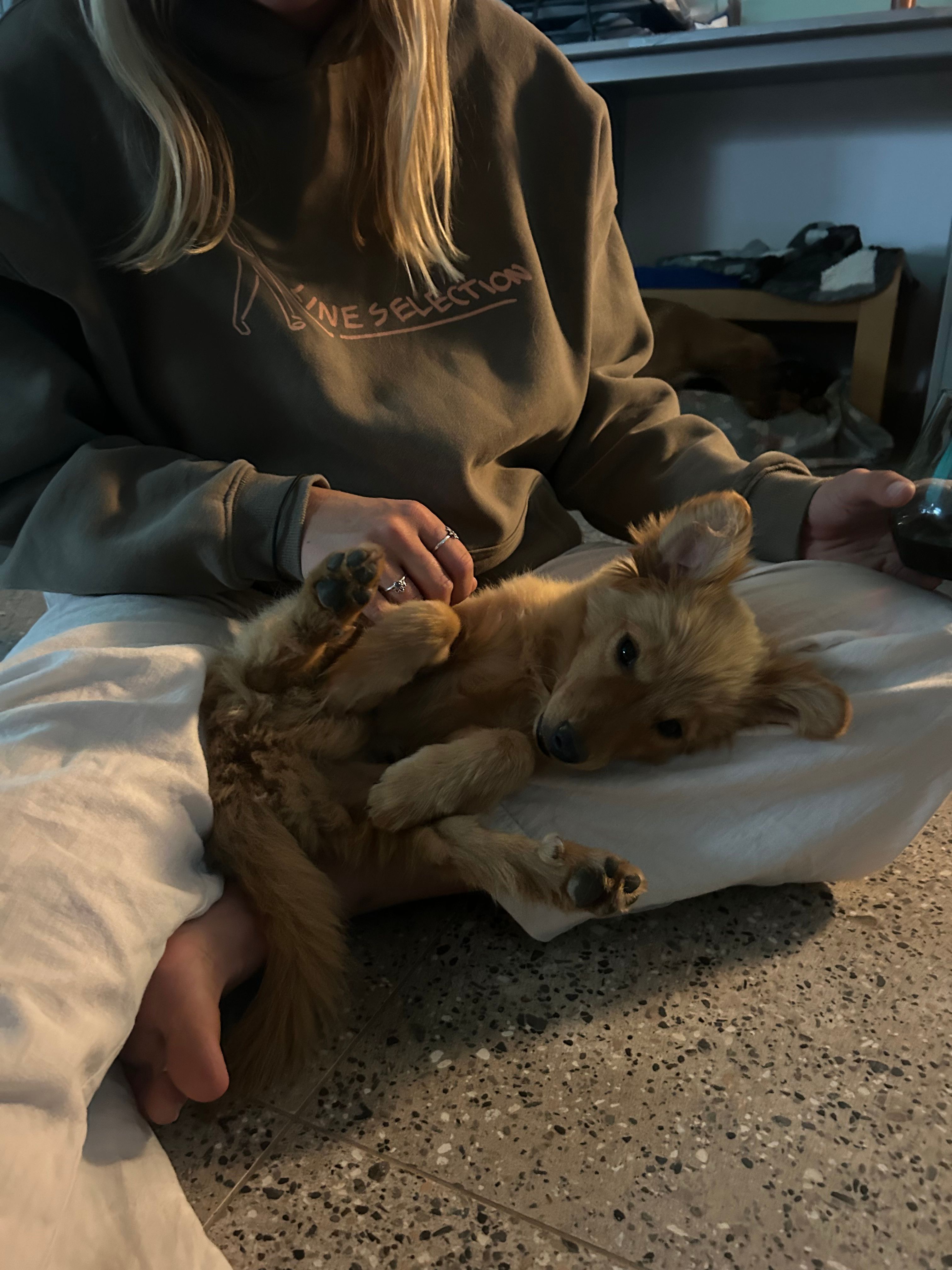 image-8