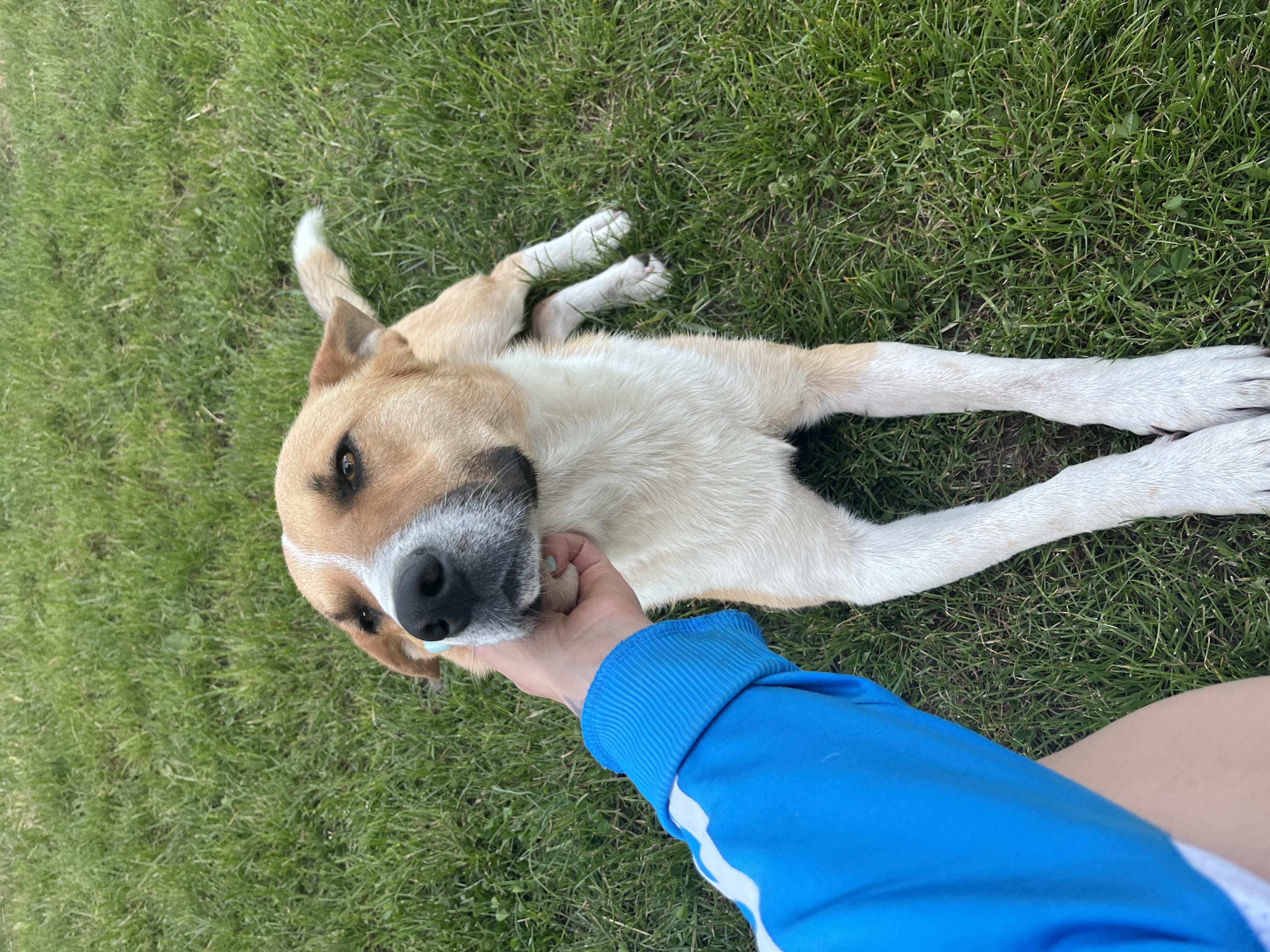 image-9