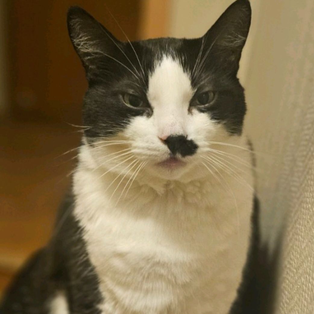 Yuki