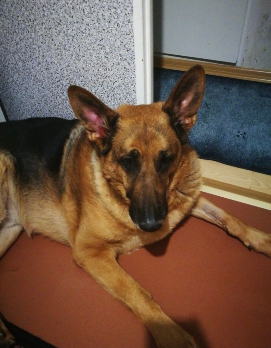 image-2