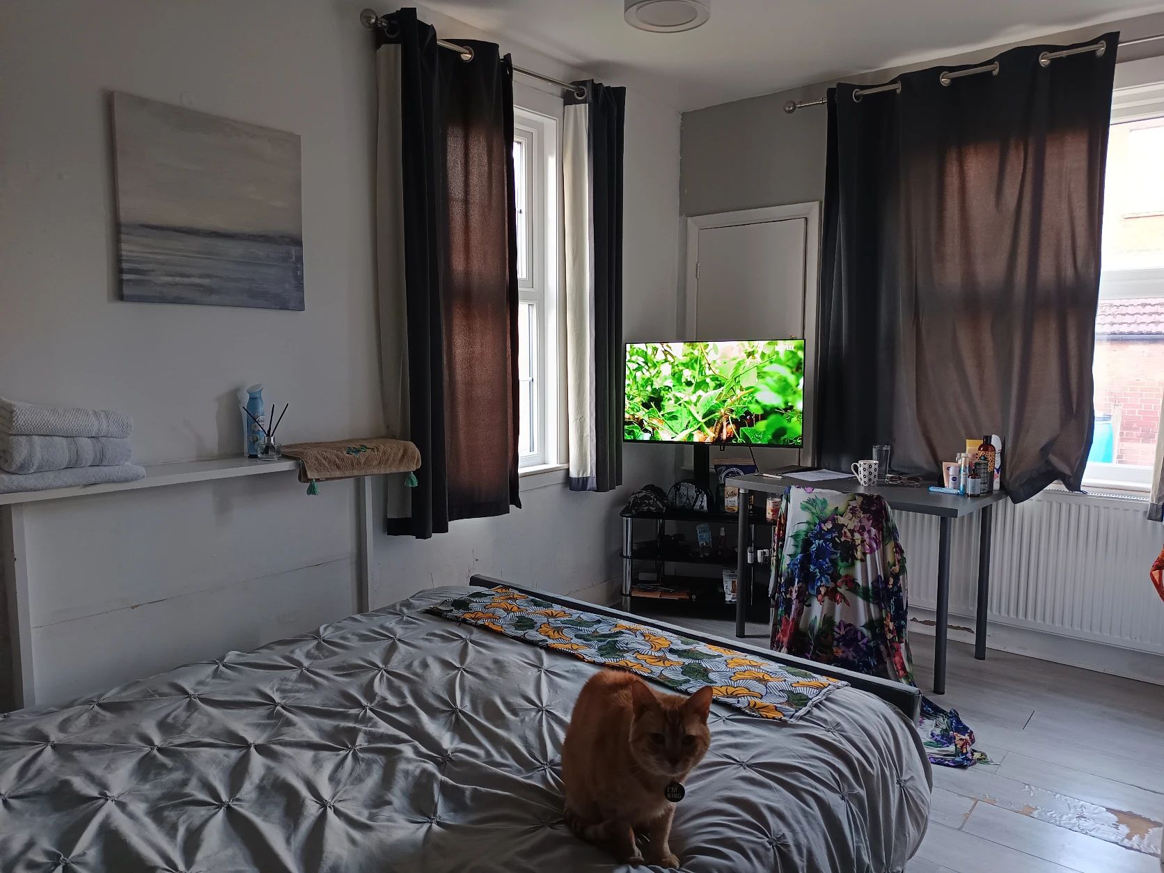 image-19