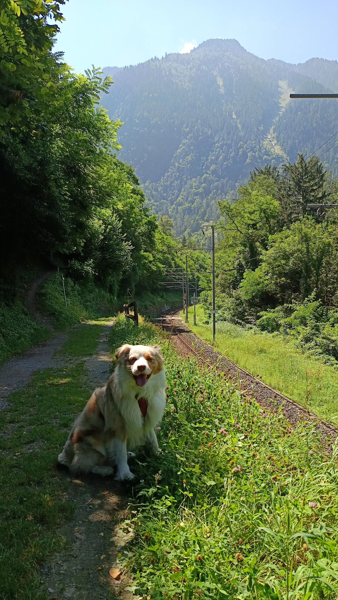 image-16