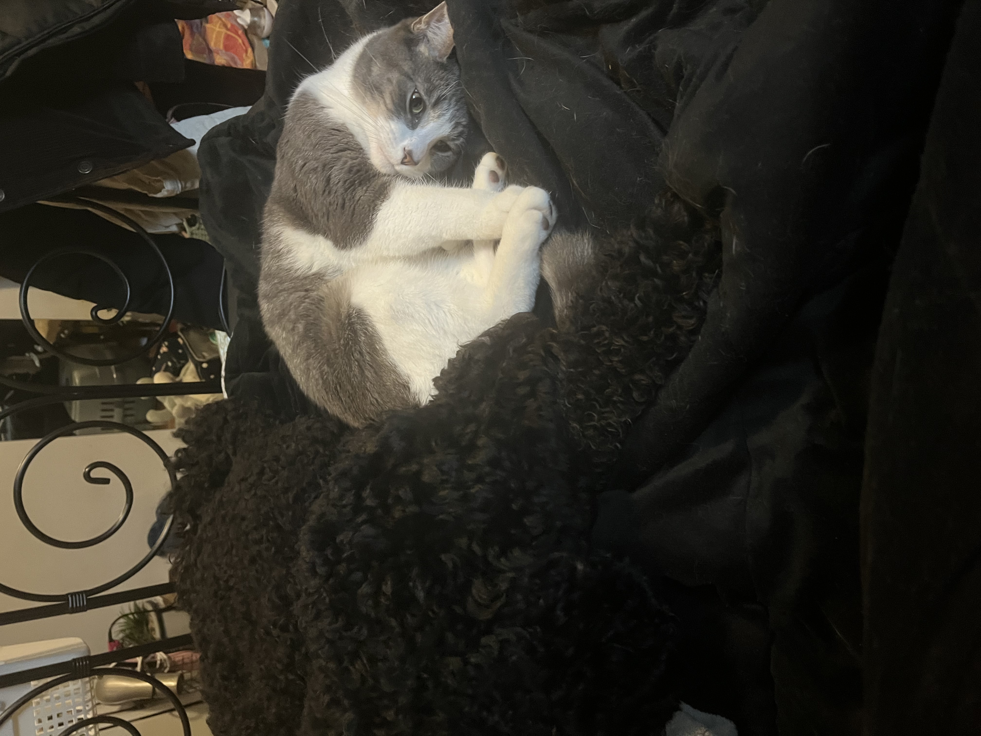image-6