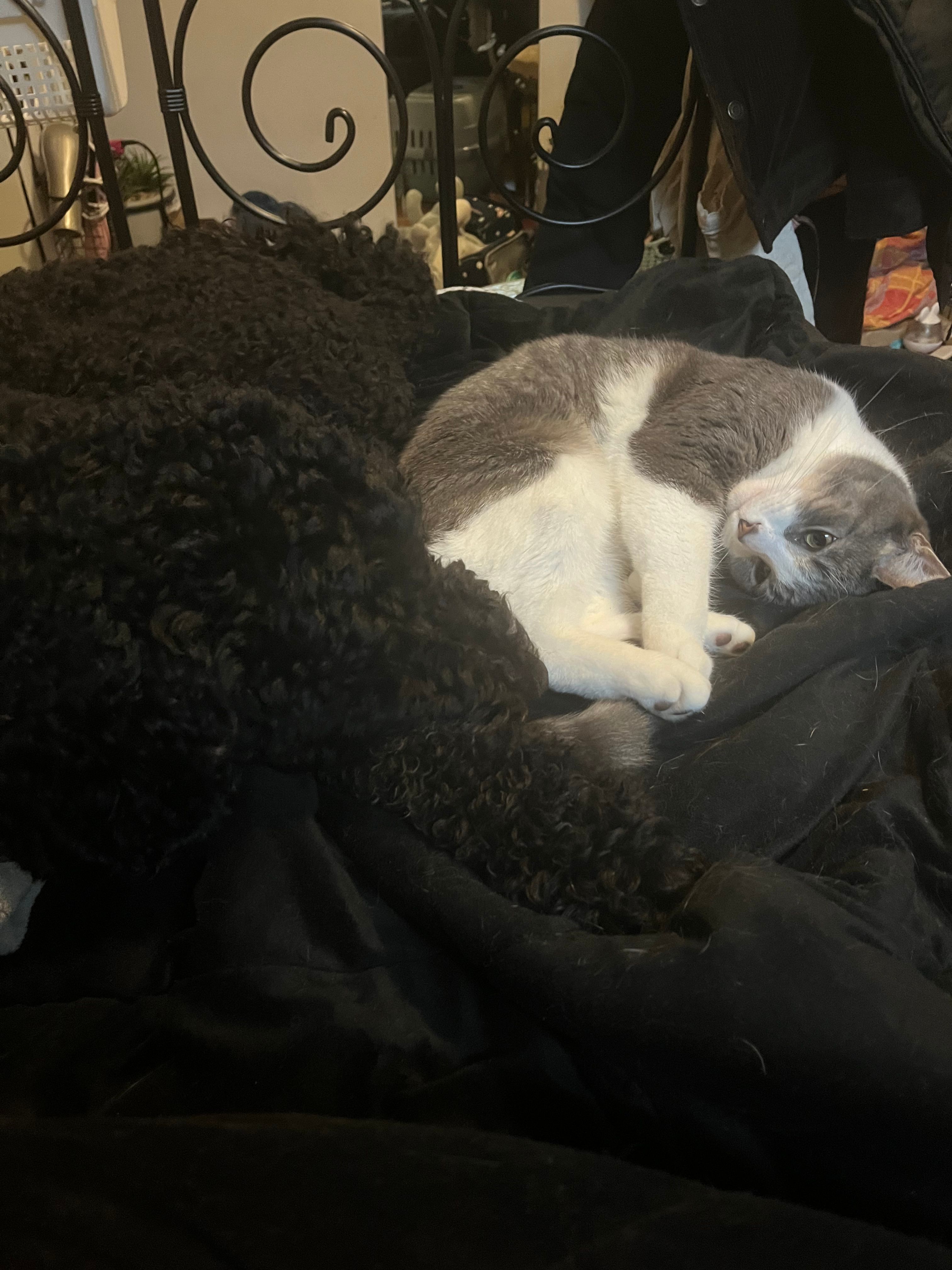 image-6