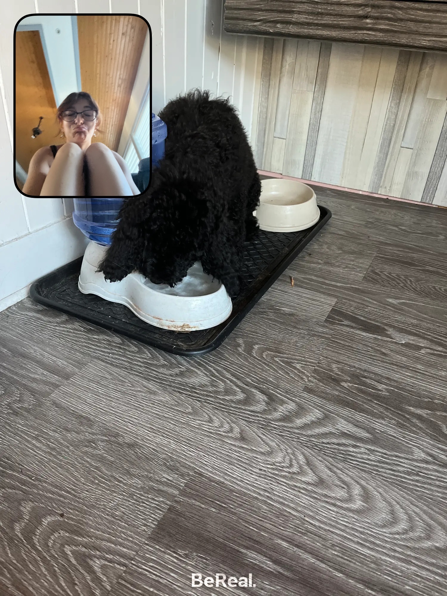 image-14