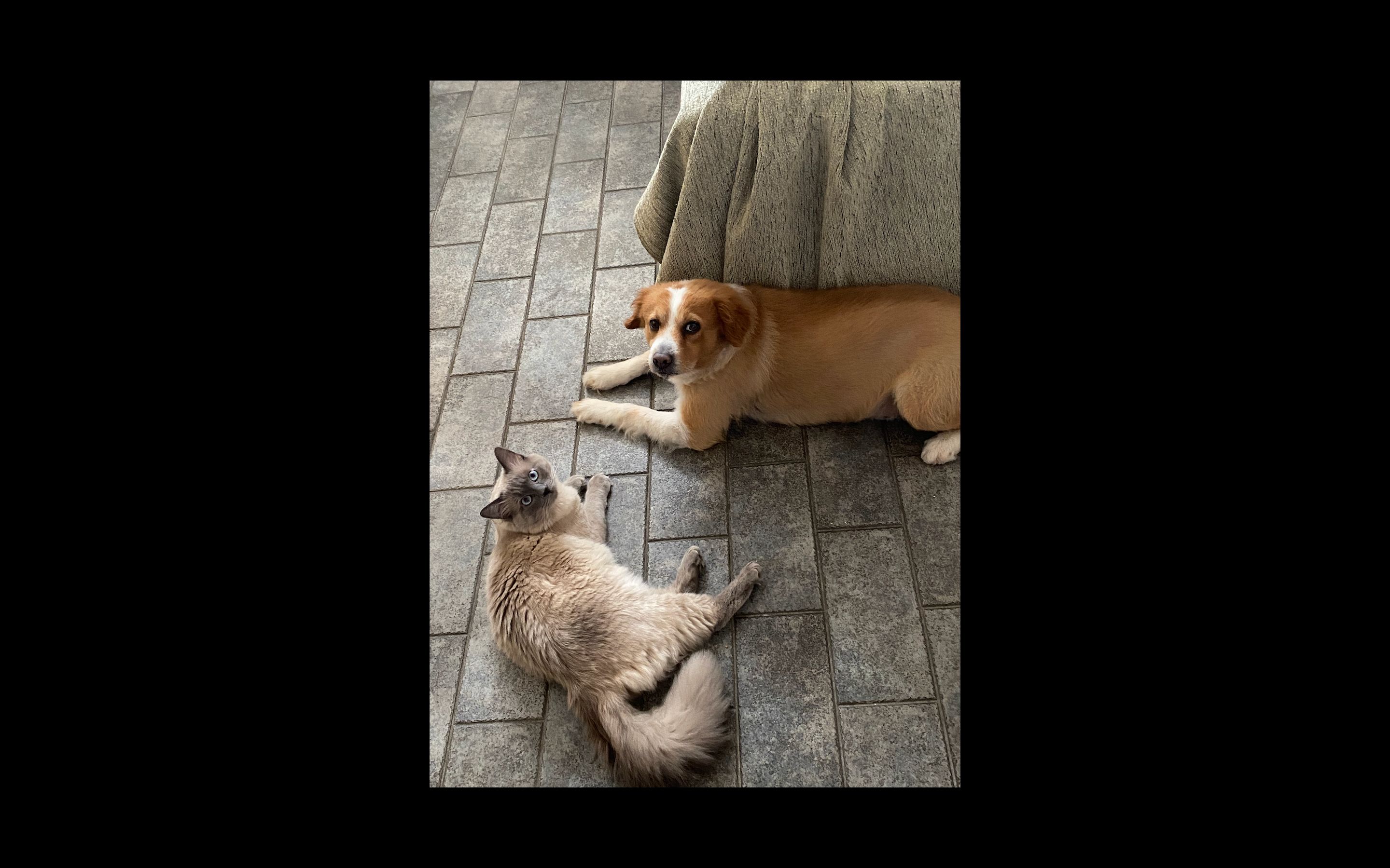 image-10