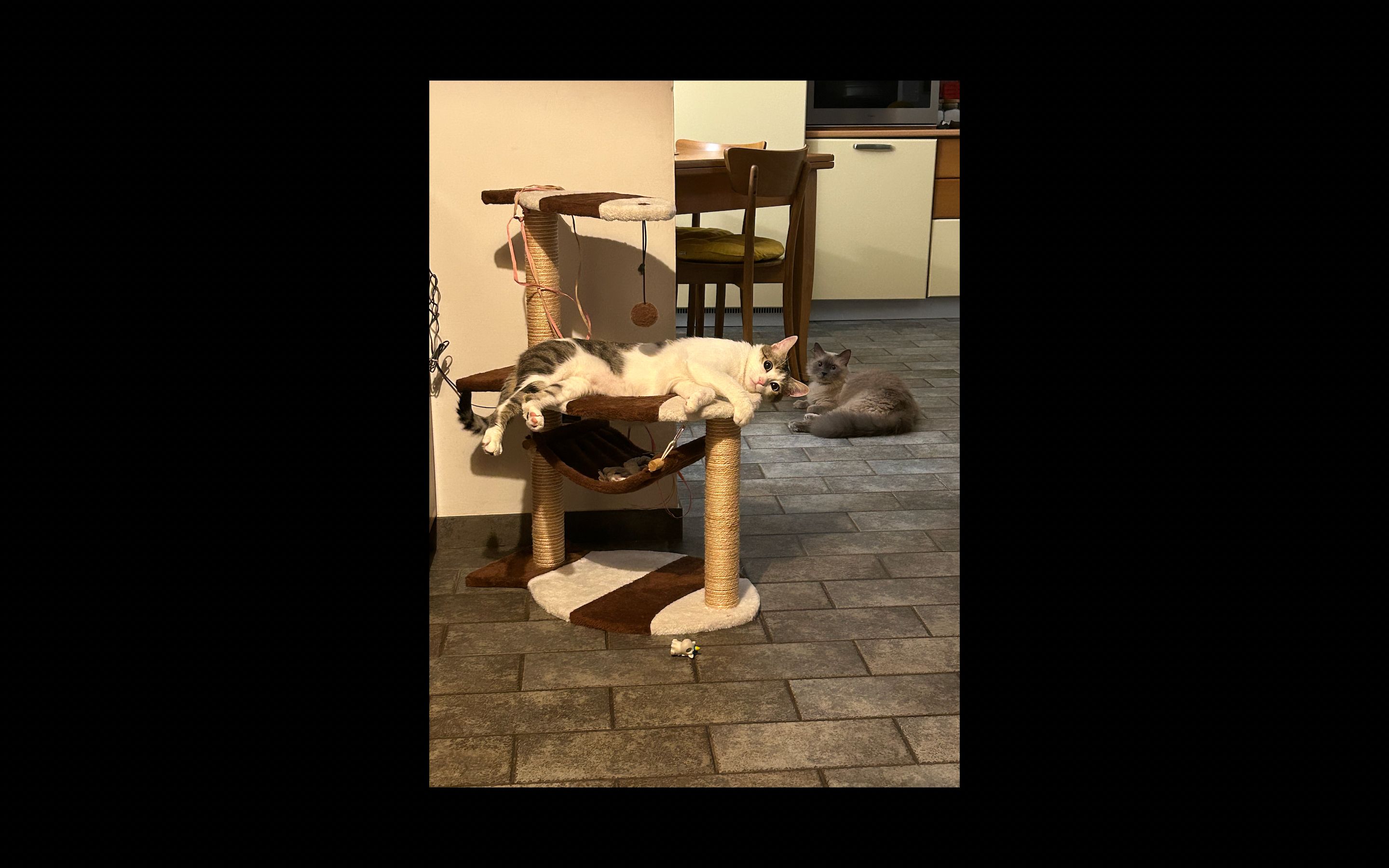 image-8
