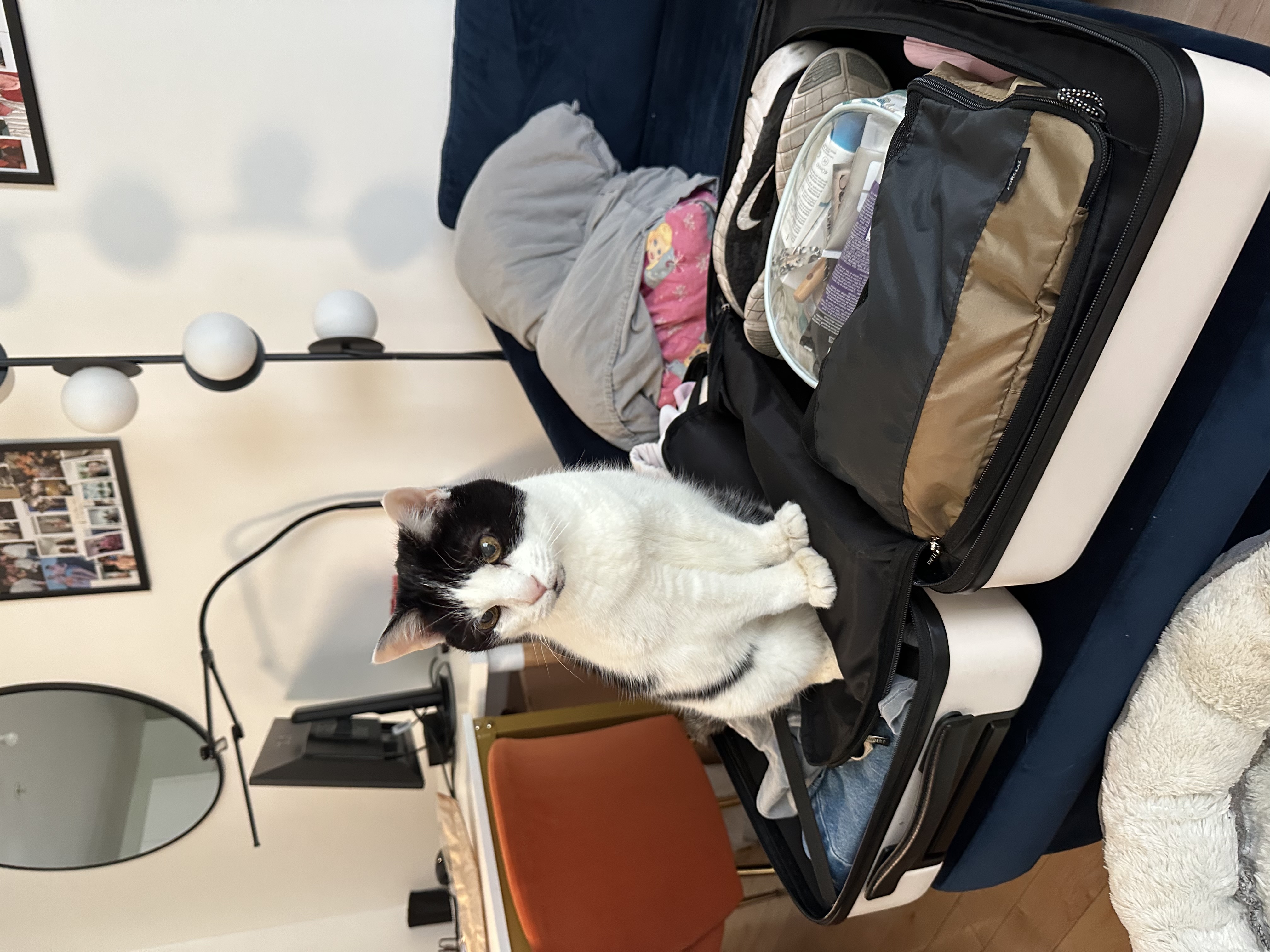 image-9
