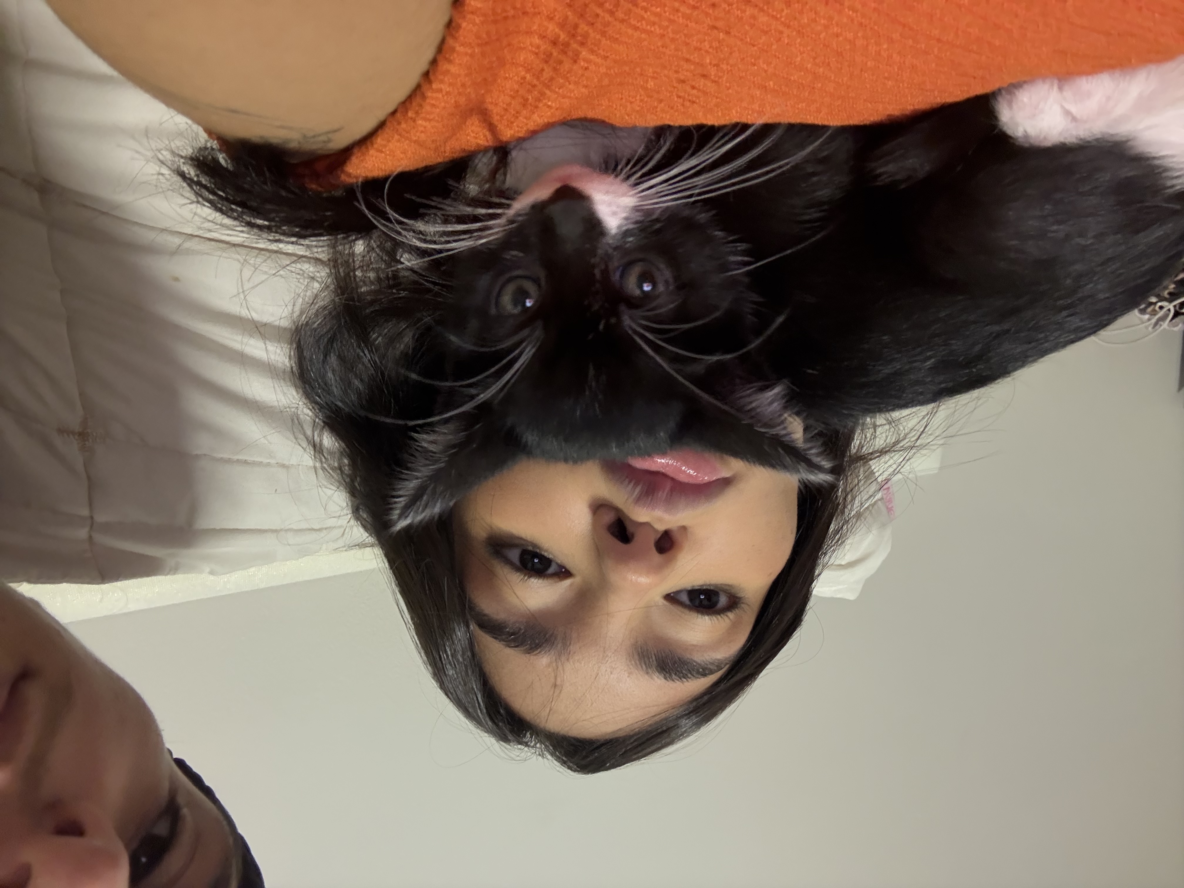 image-2
