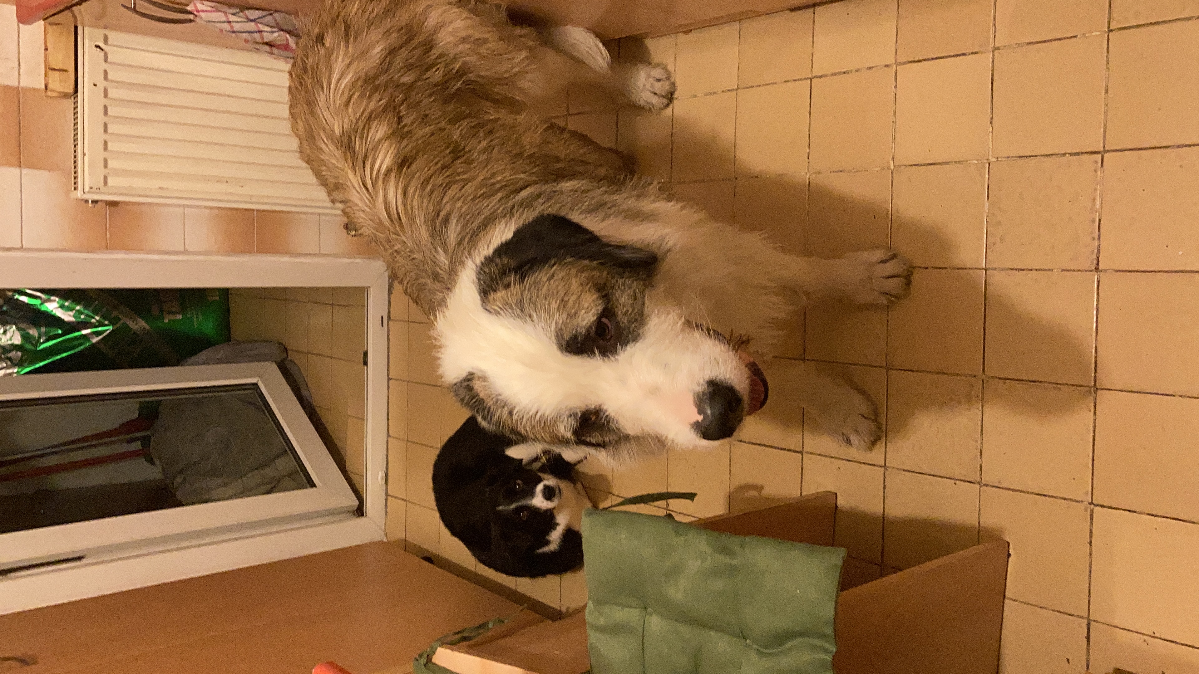 image-10