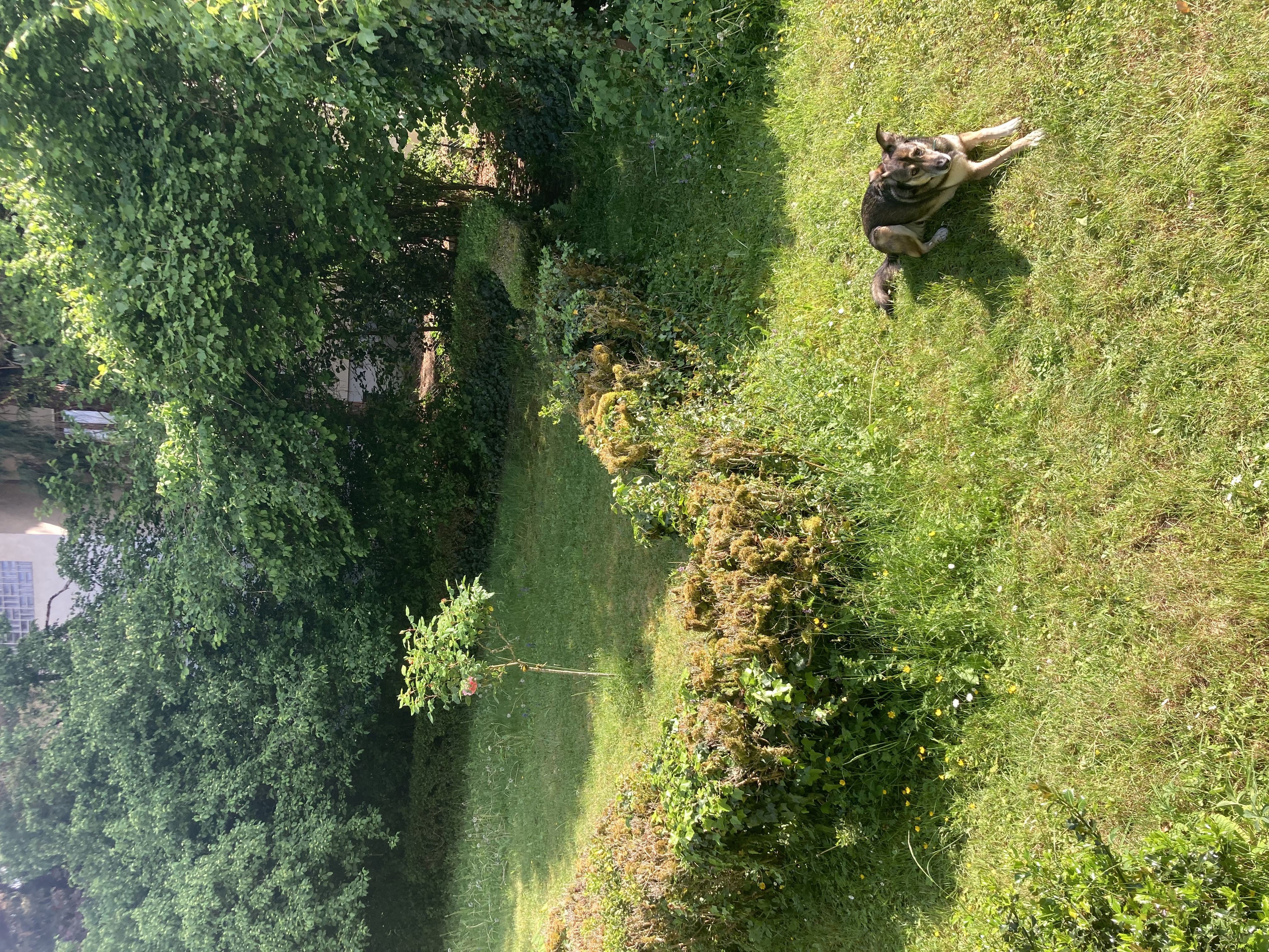 image-18