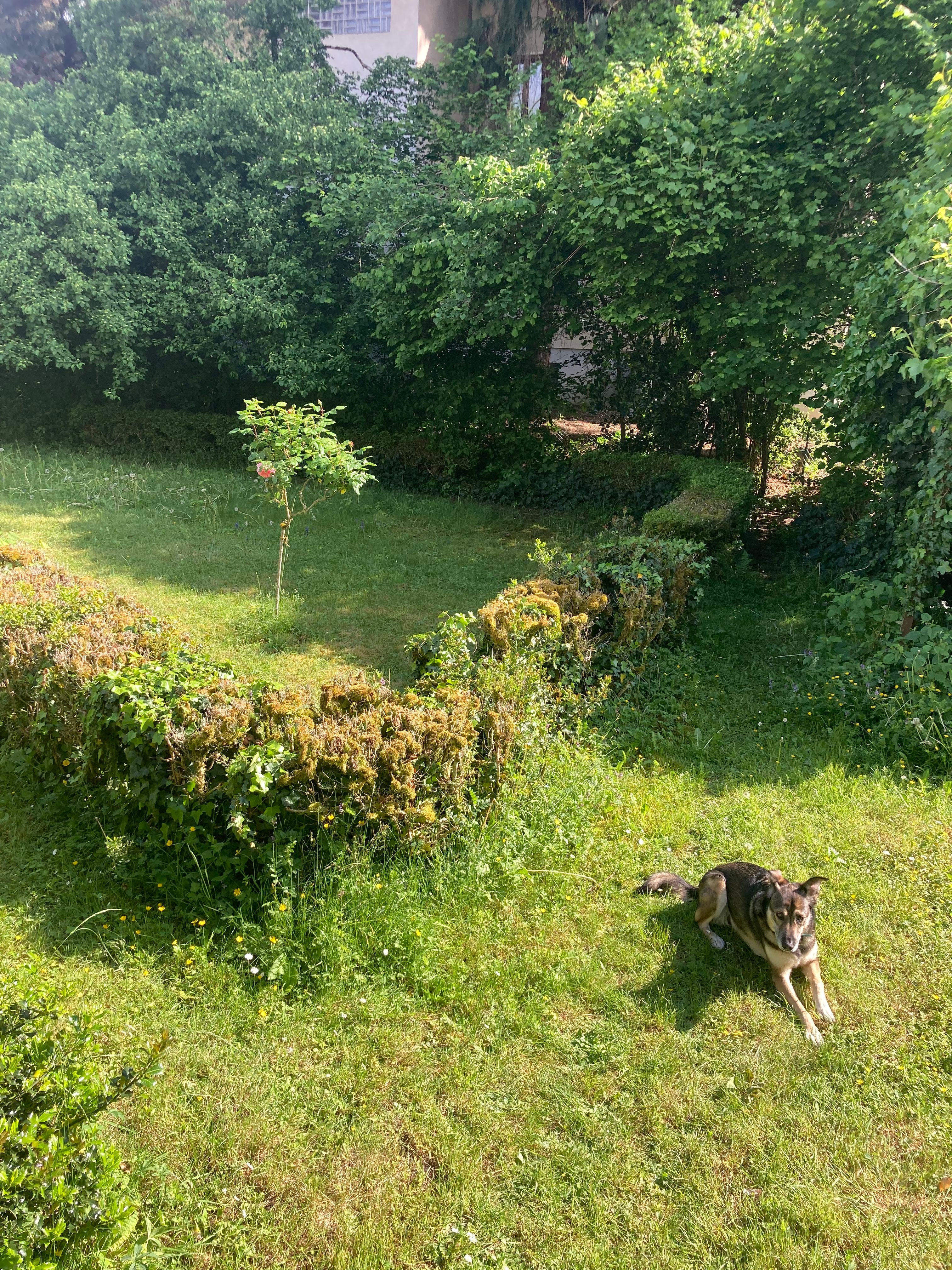image-18