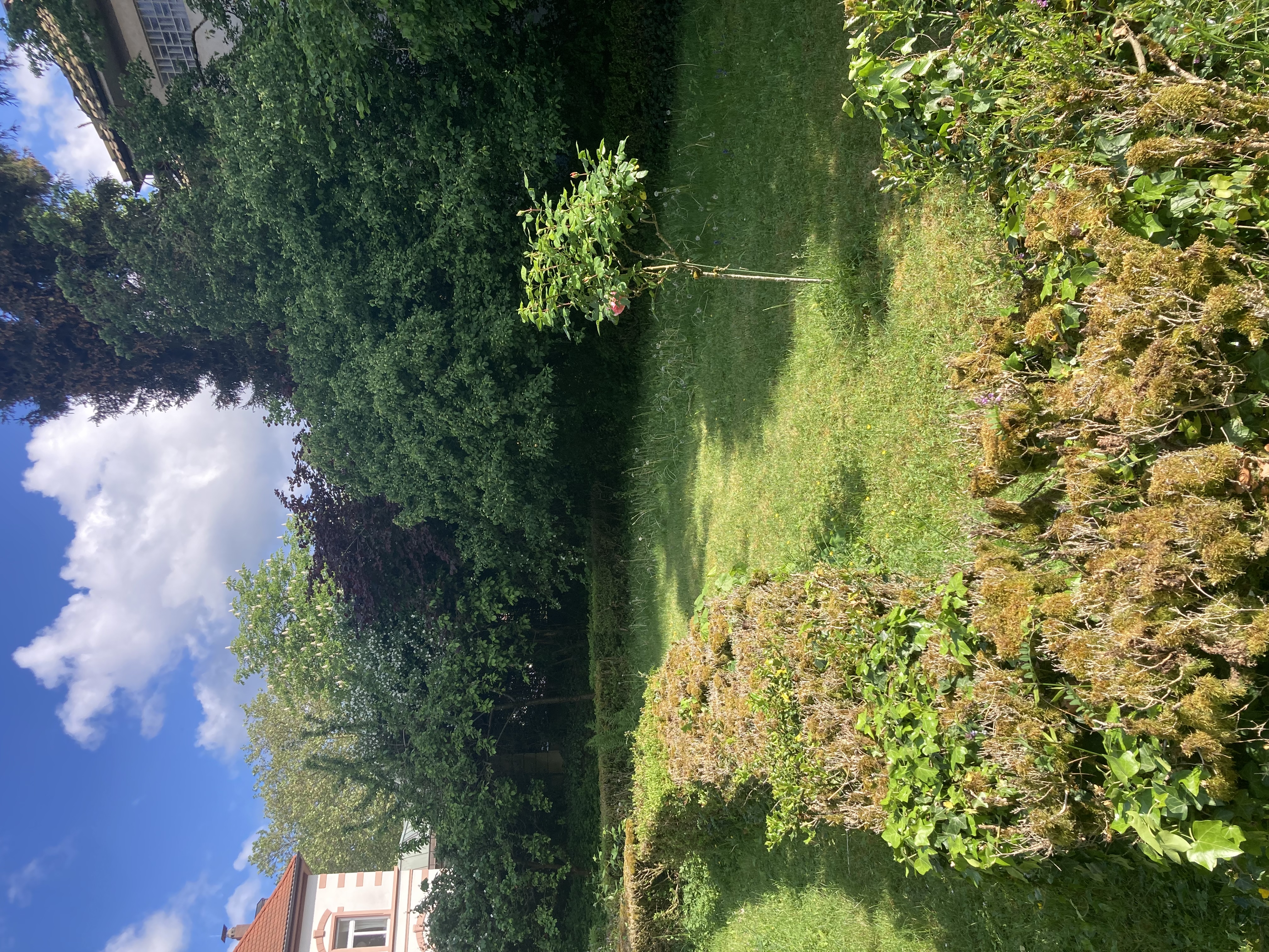 image-21