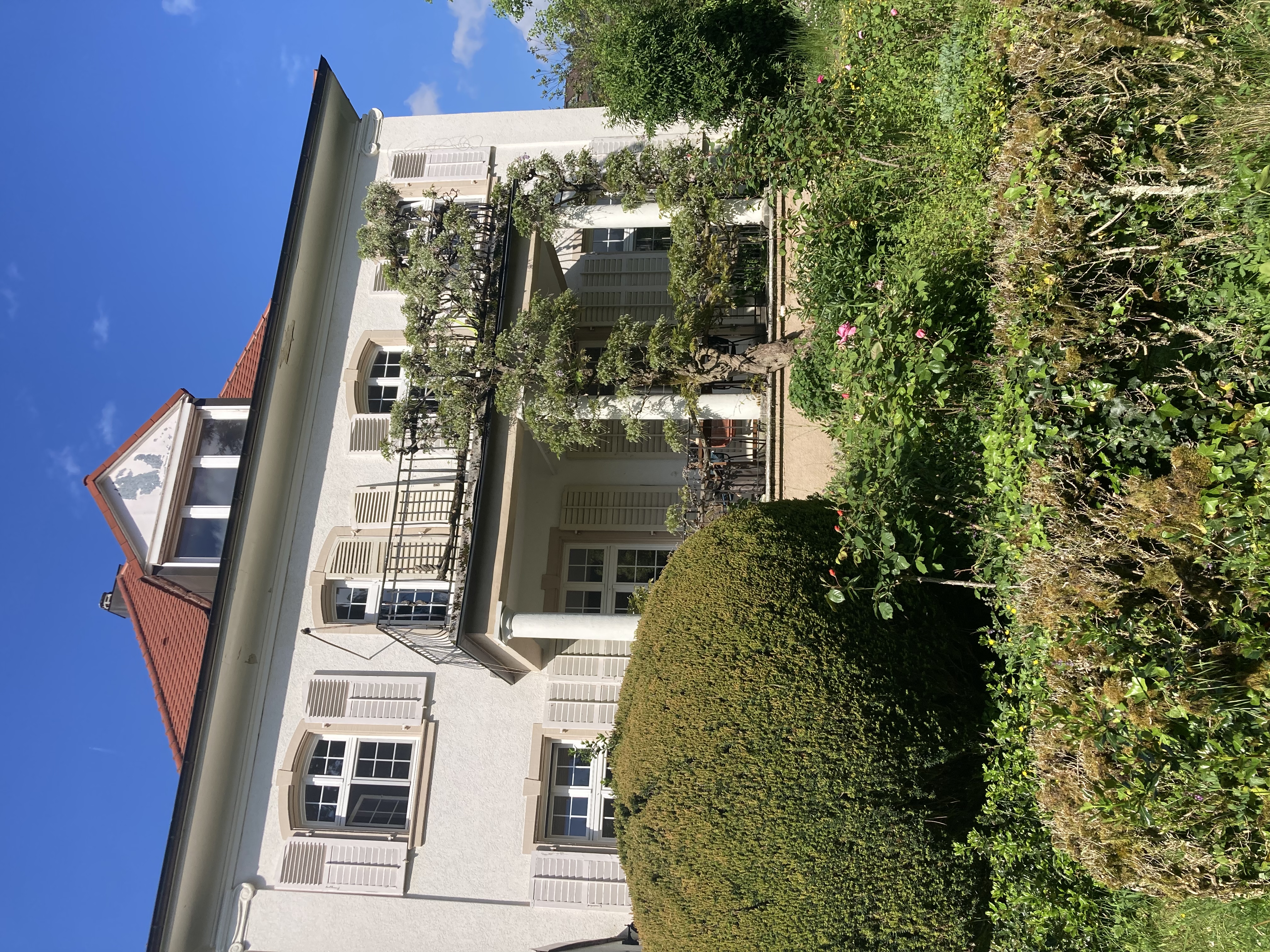 image-20