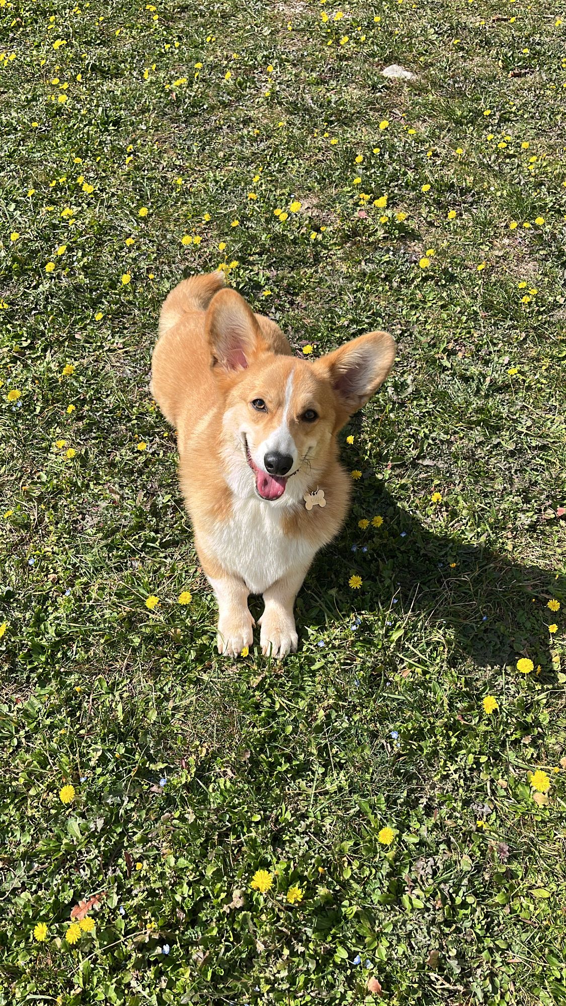 image-5