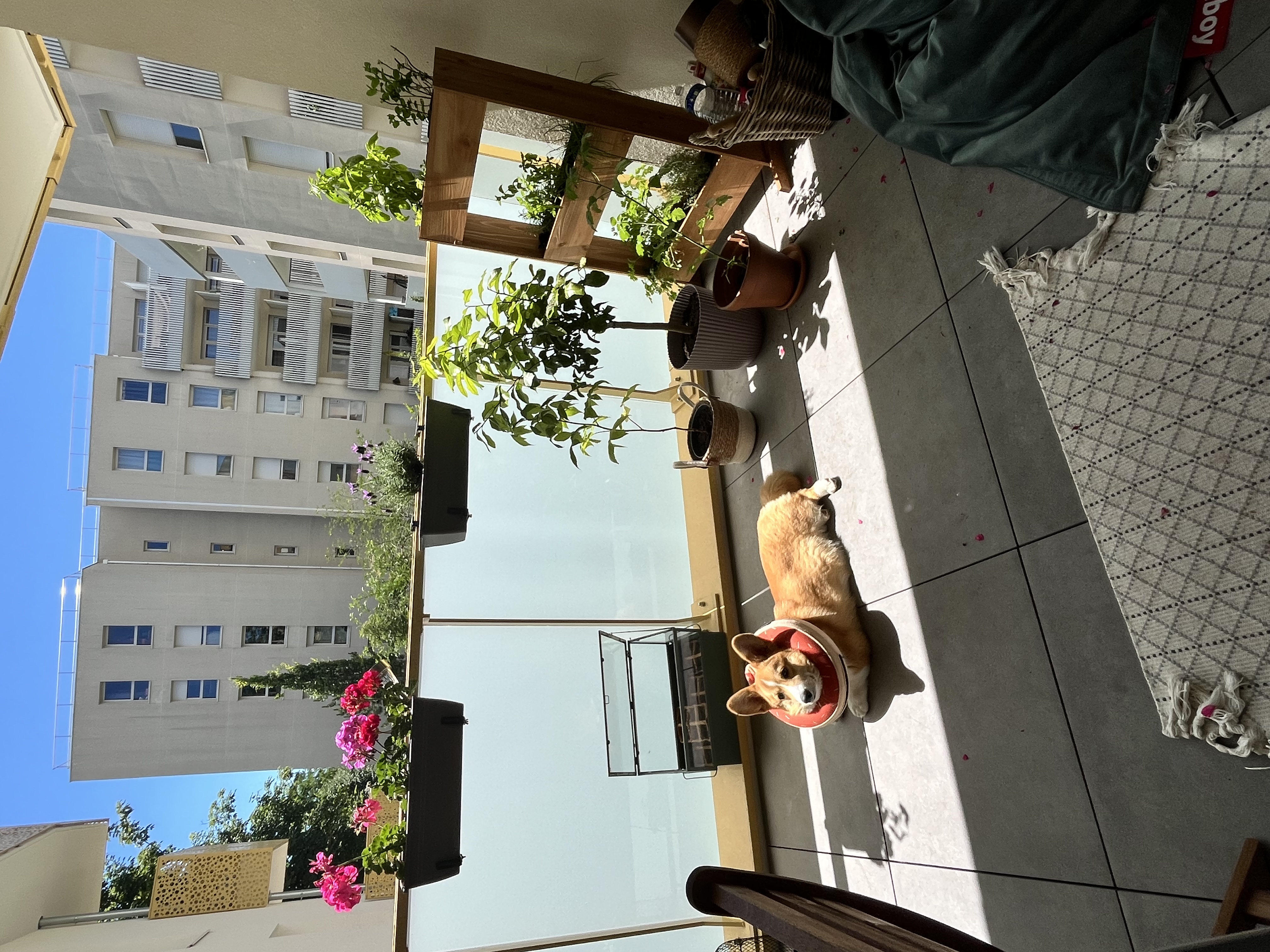 image-16